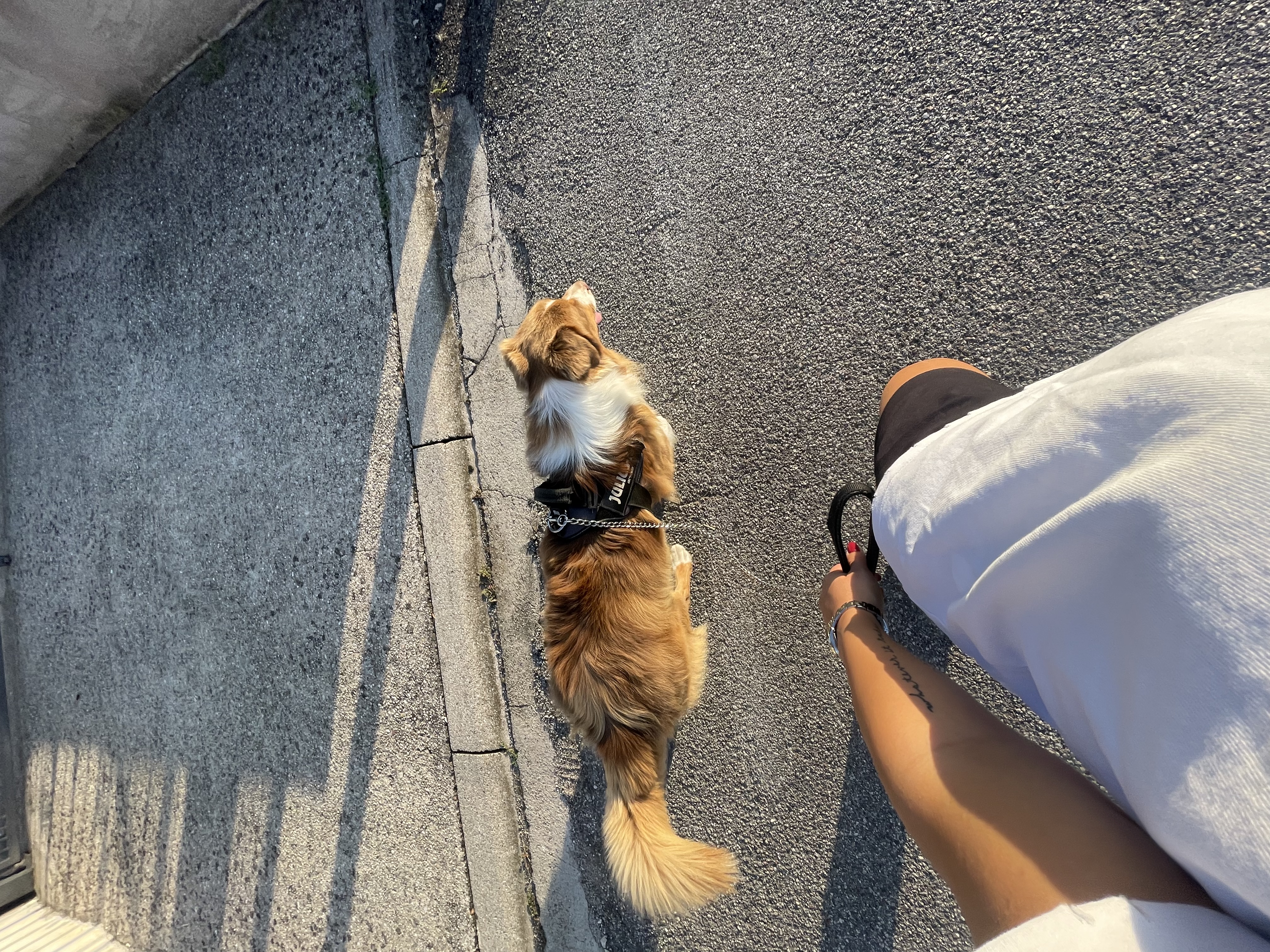 image-8