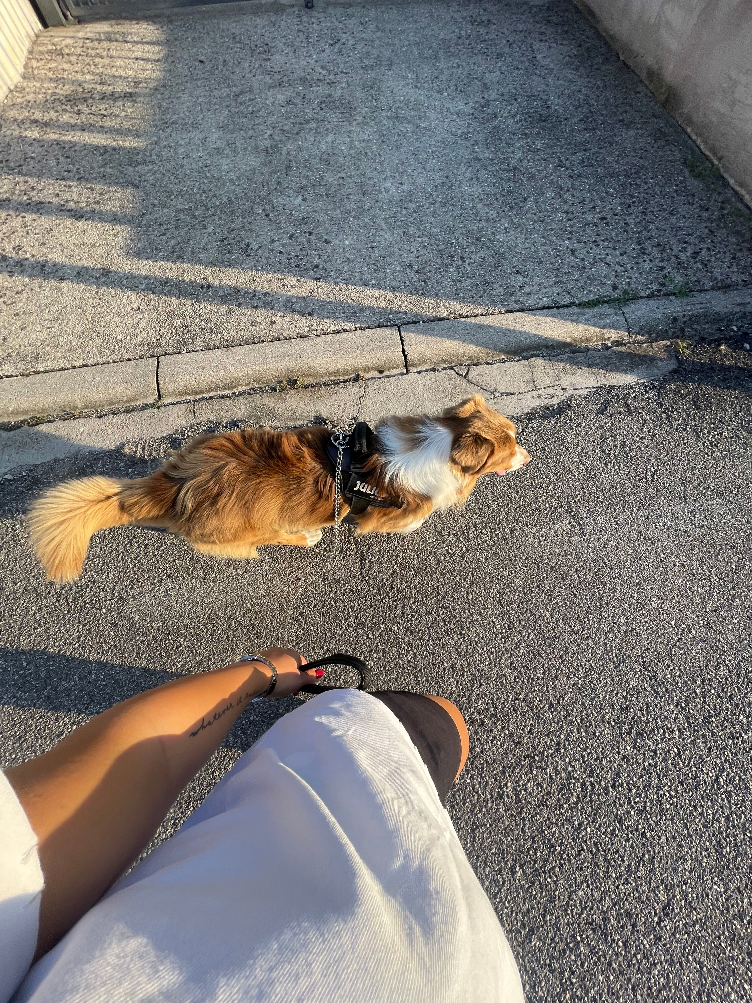 image-8