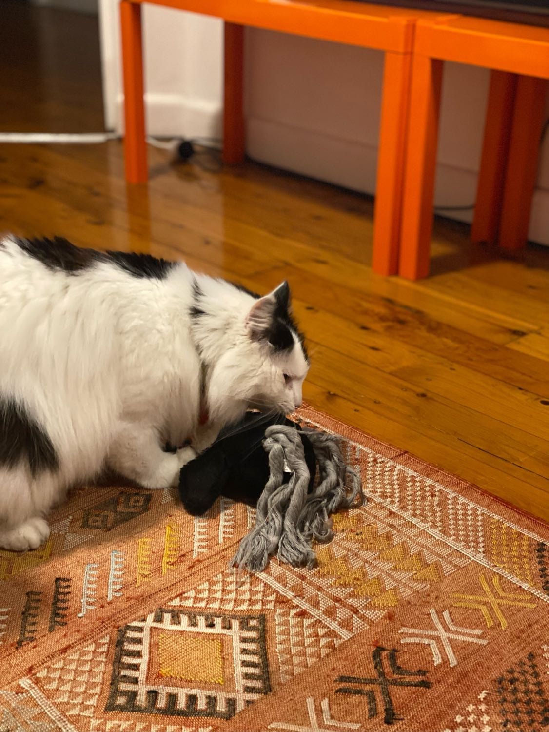 image-13
