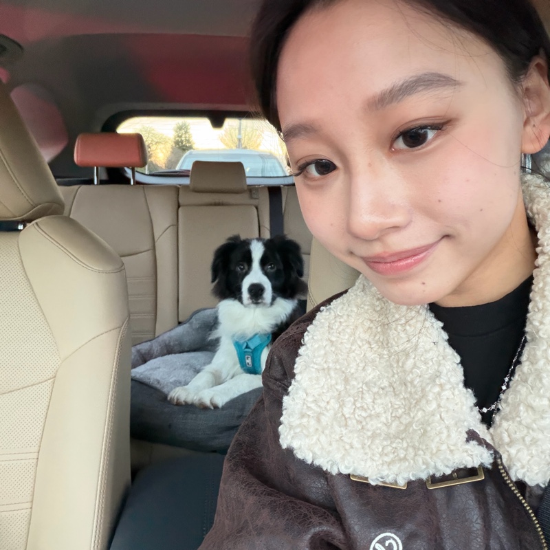 Jingyi
