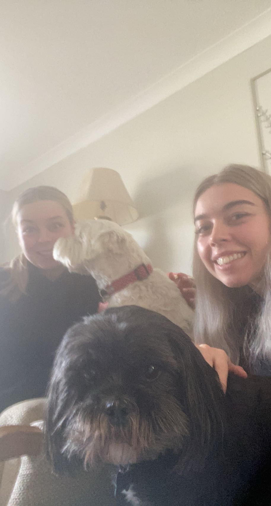 image-8
