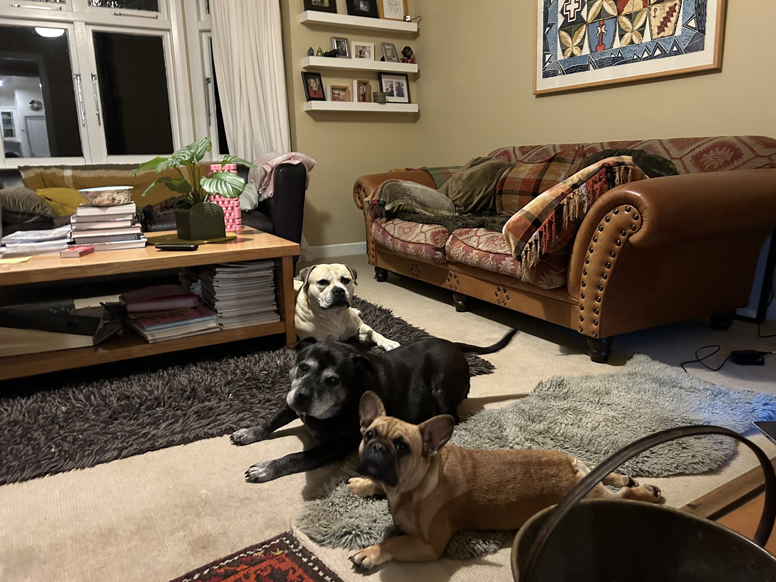 image-8