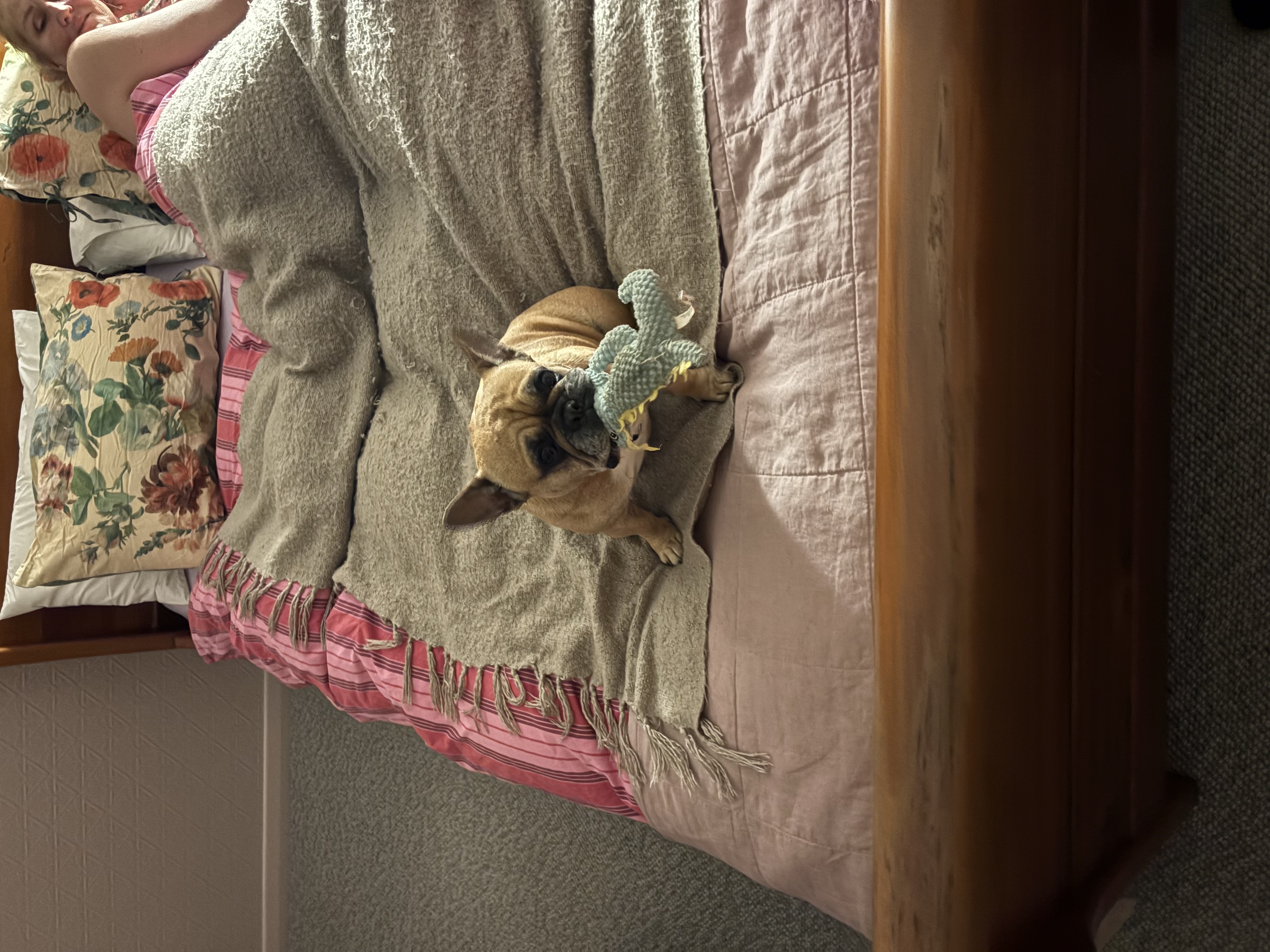 image-7