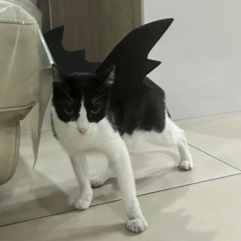 Lulu