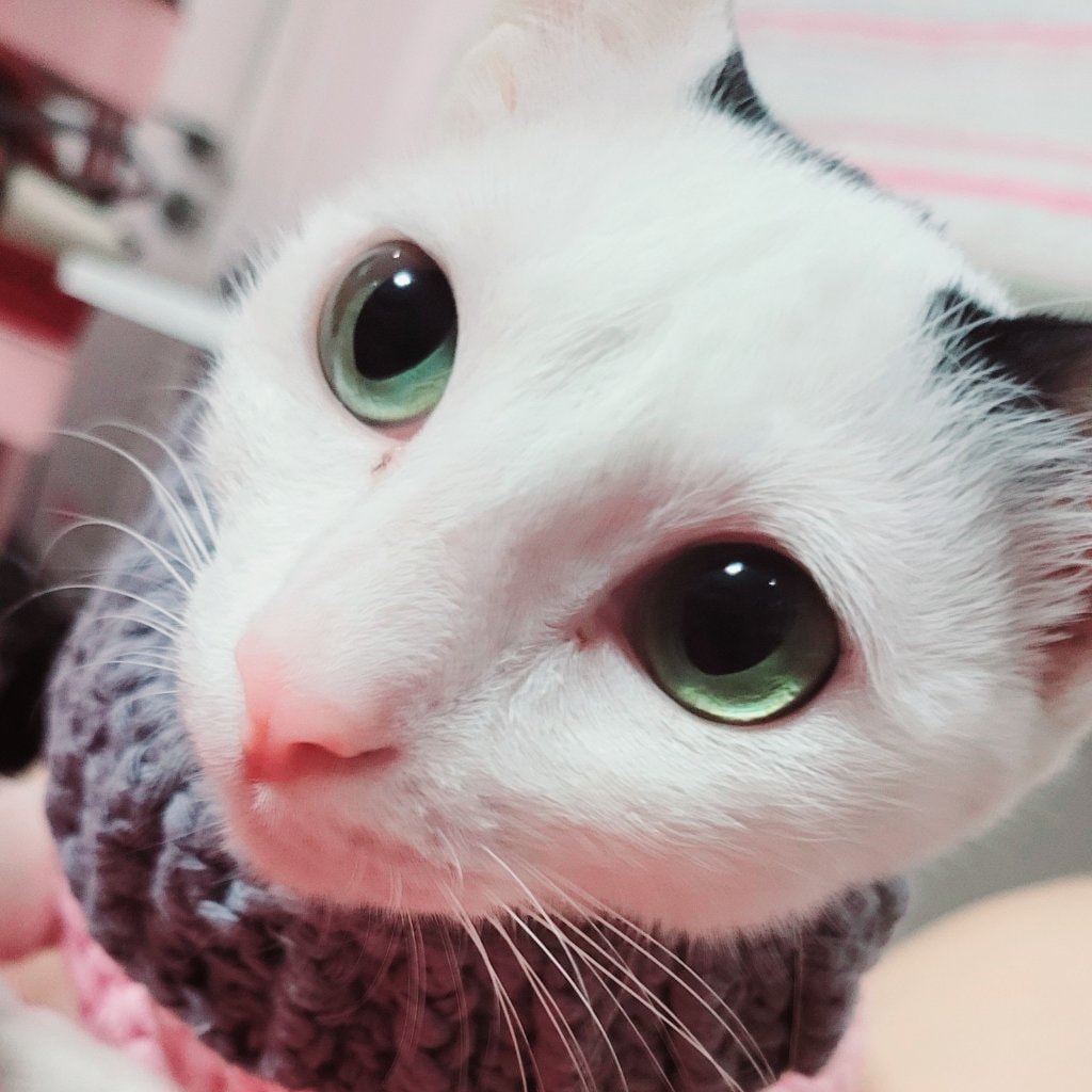 Lala