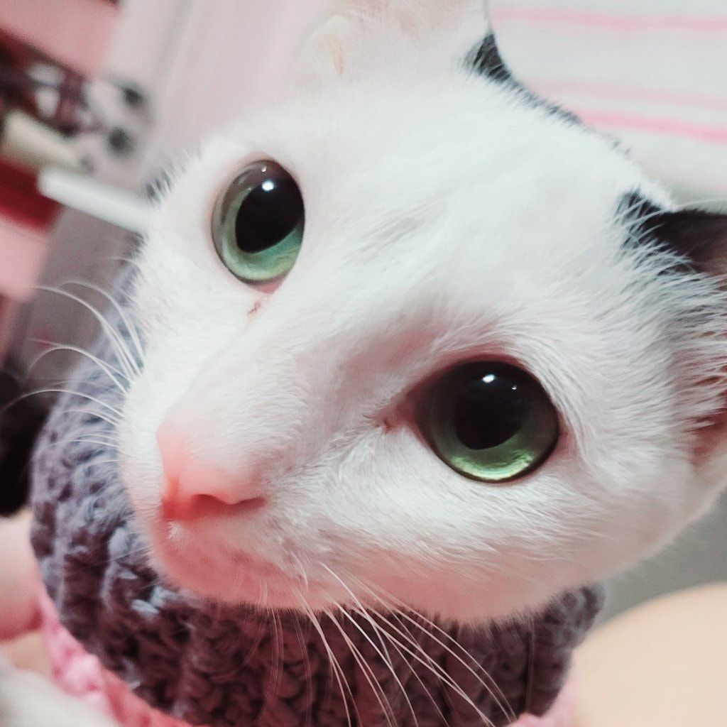 Lala