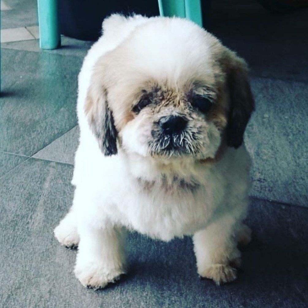 Skittles
