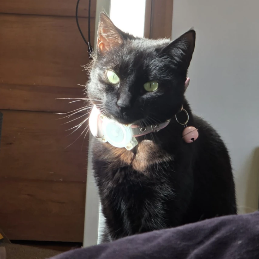 Luna