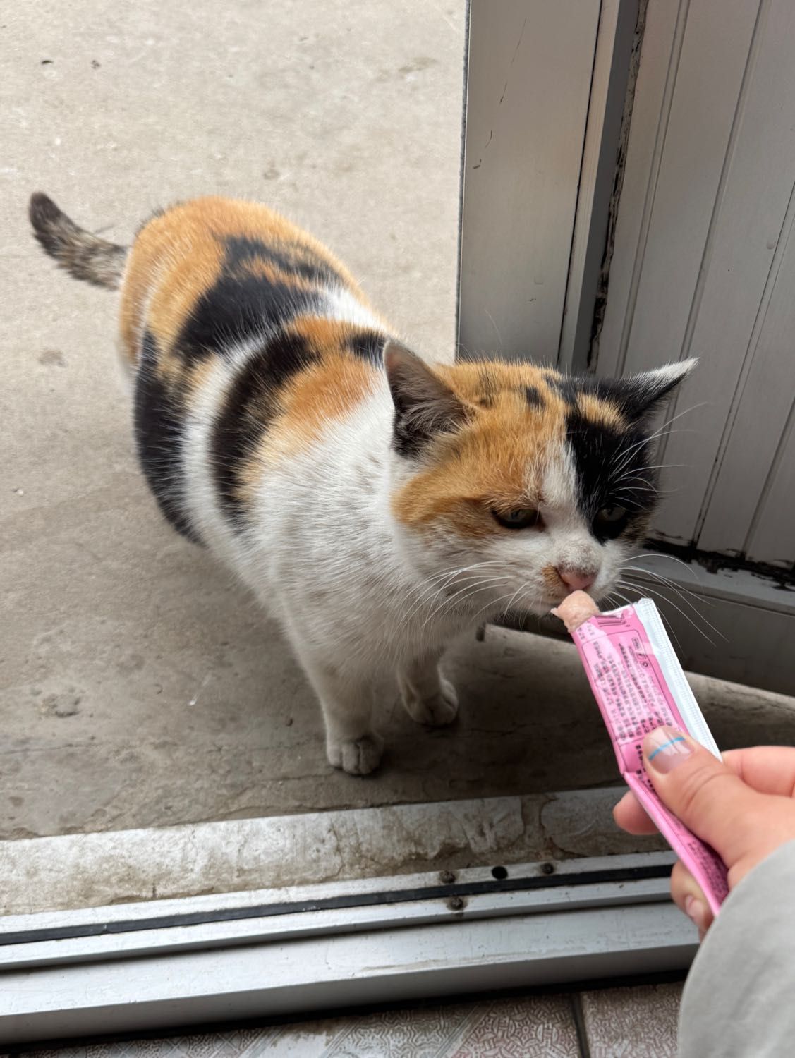 image-8