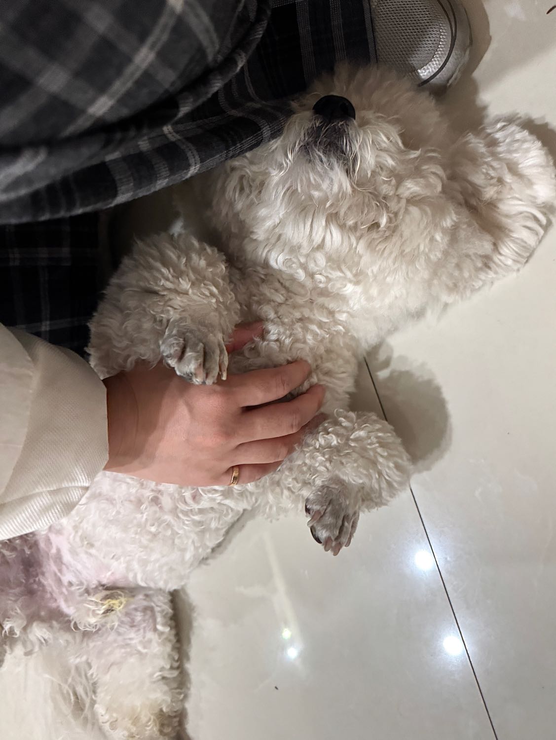 image-9