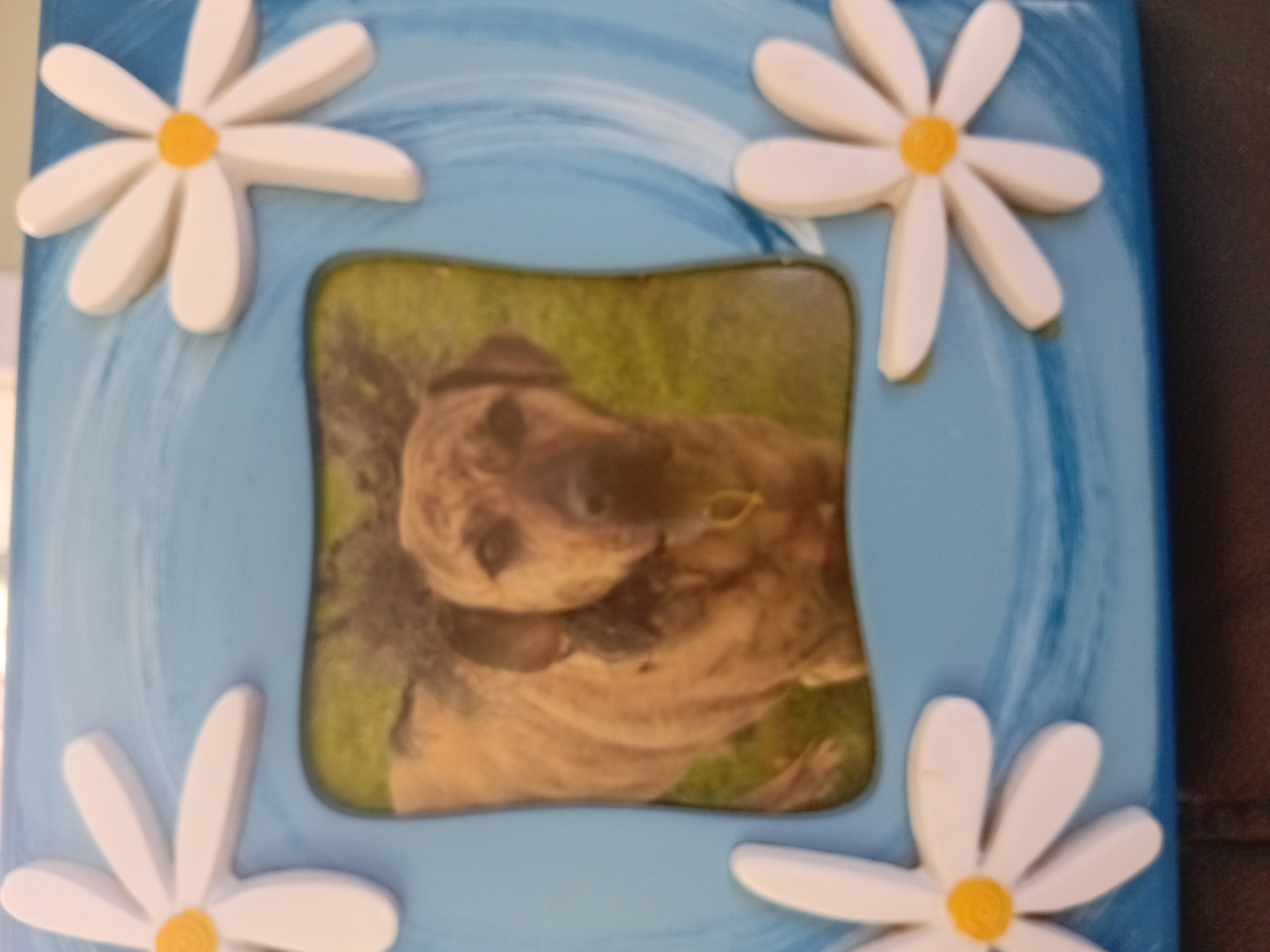 image-6