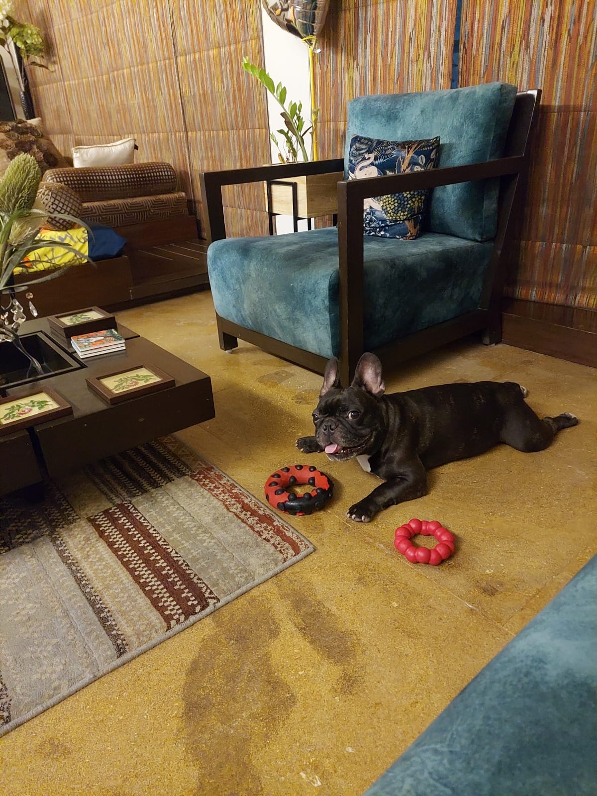 image-7