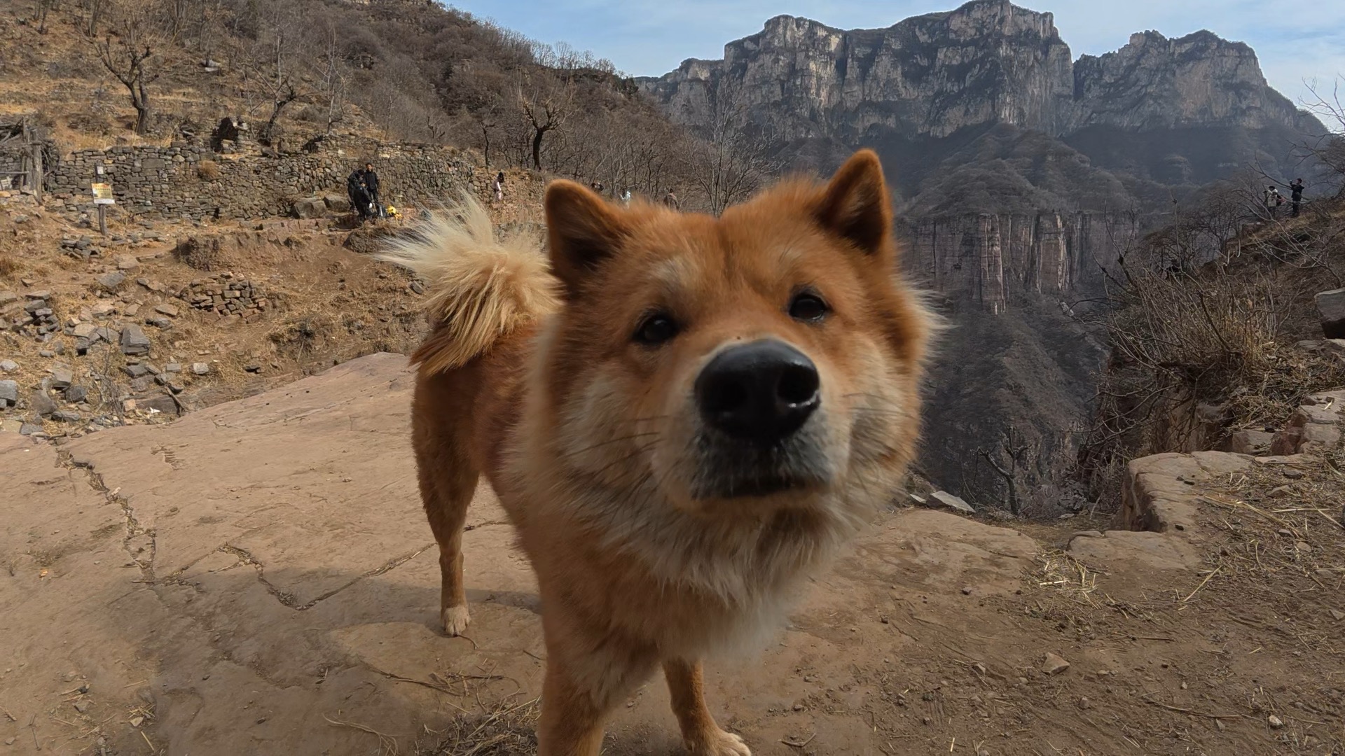 image-8