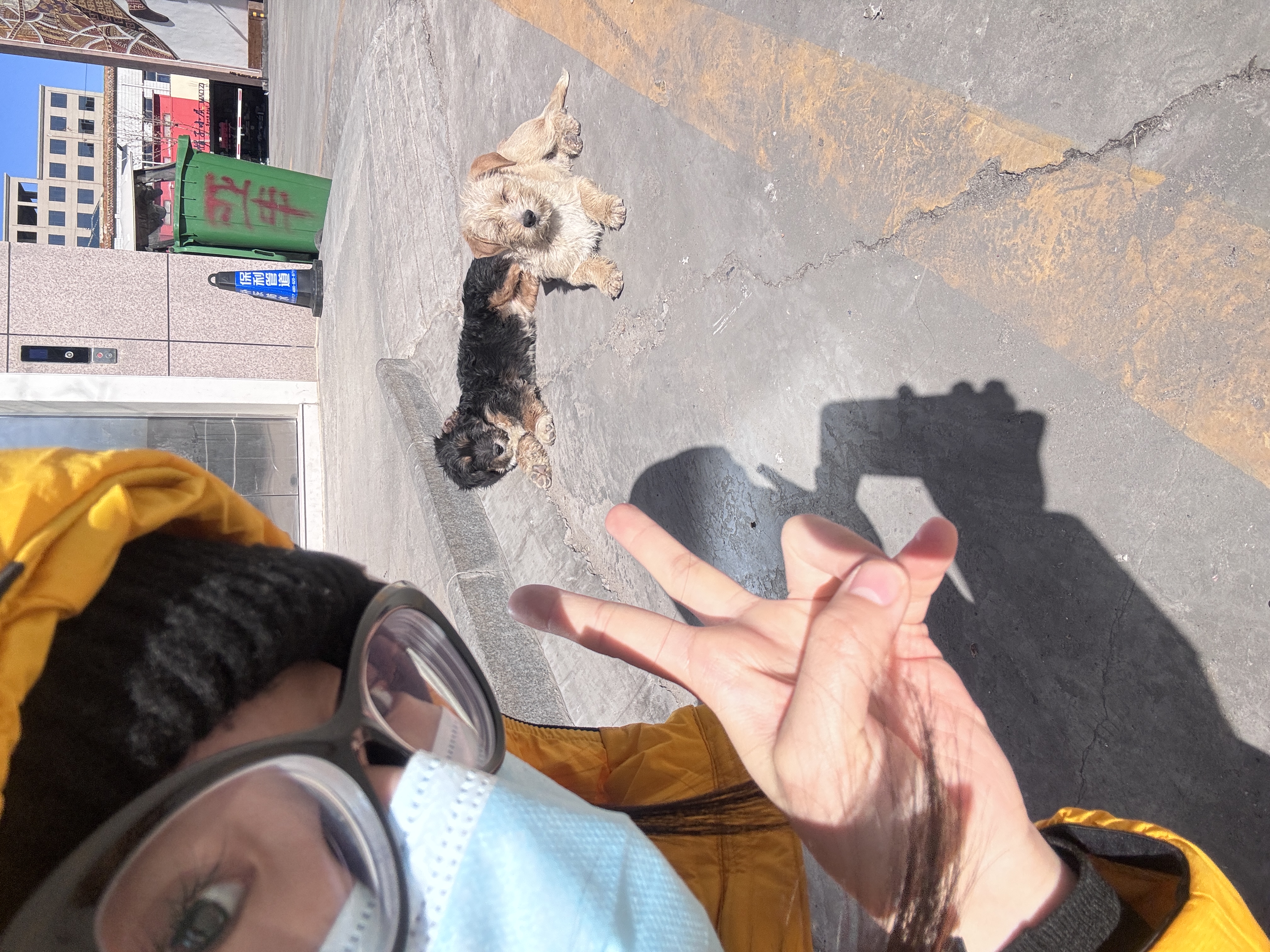 image-6