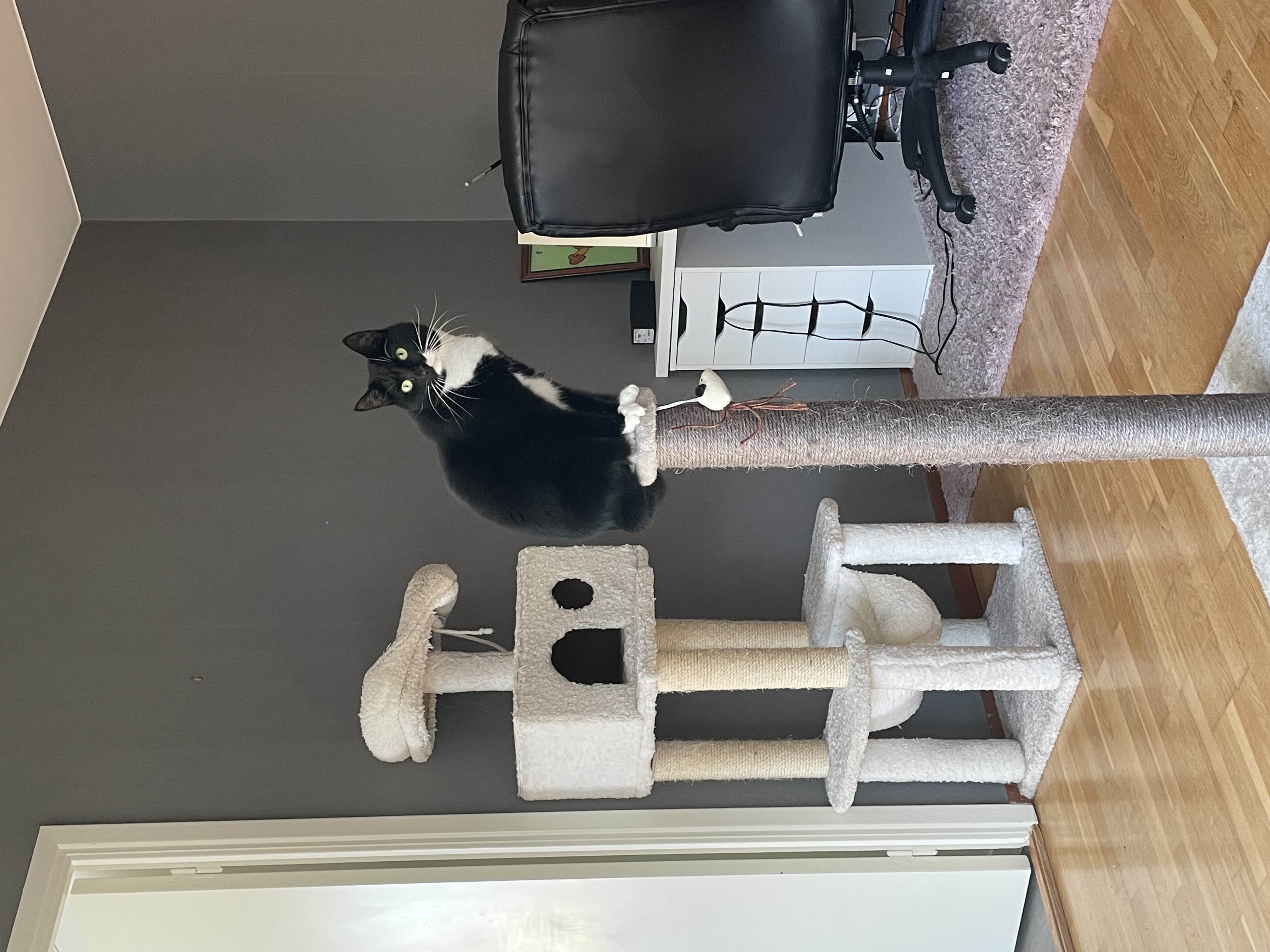 image-6