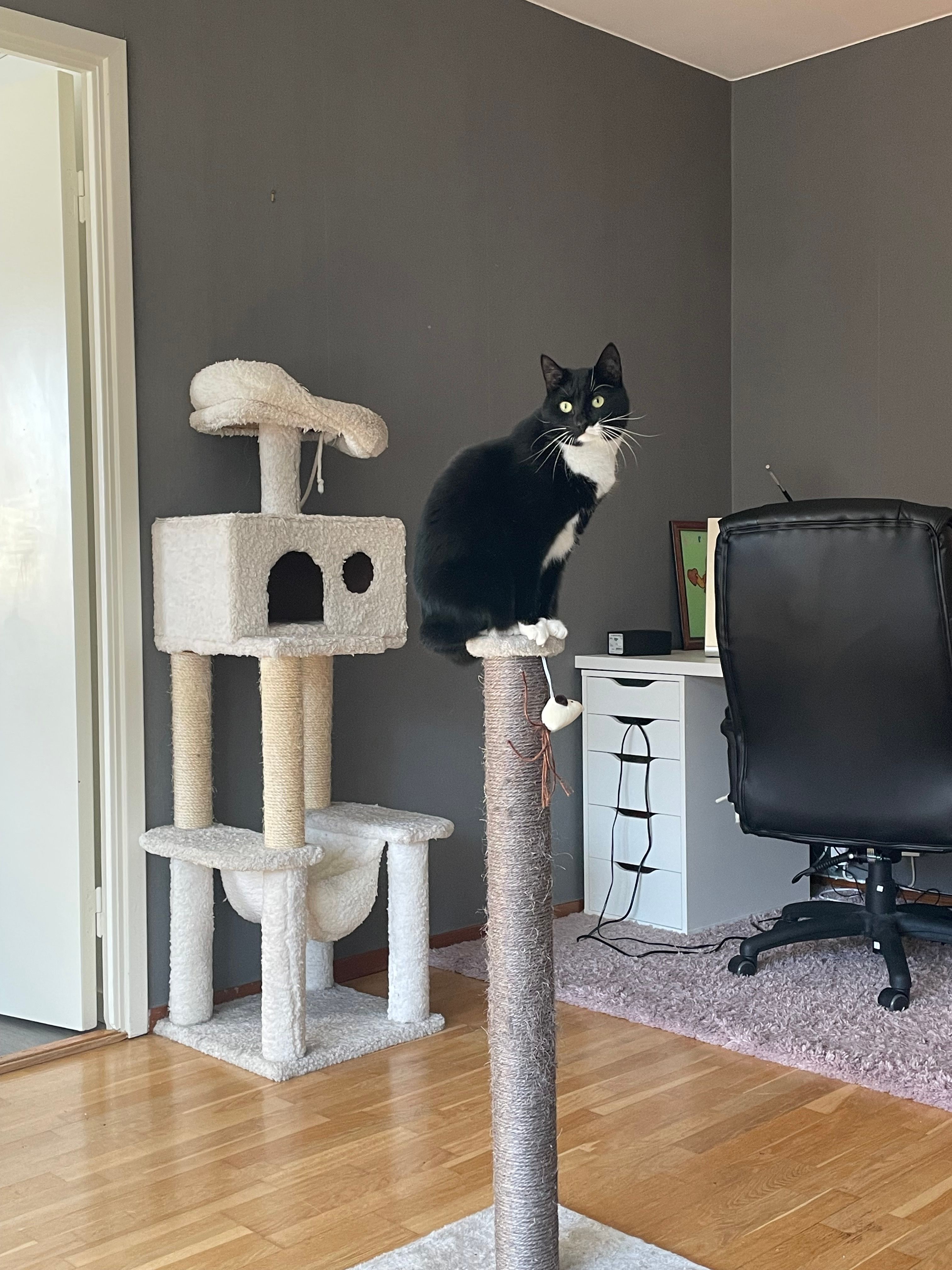 image-6