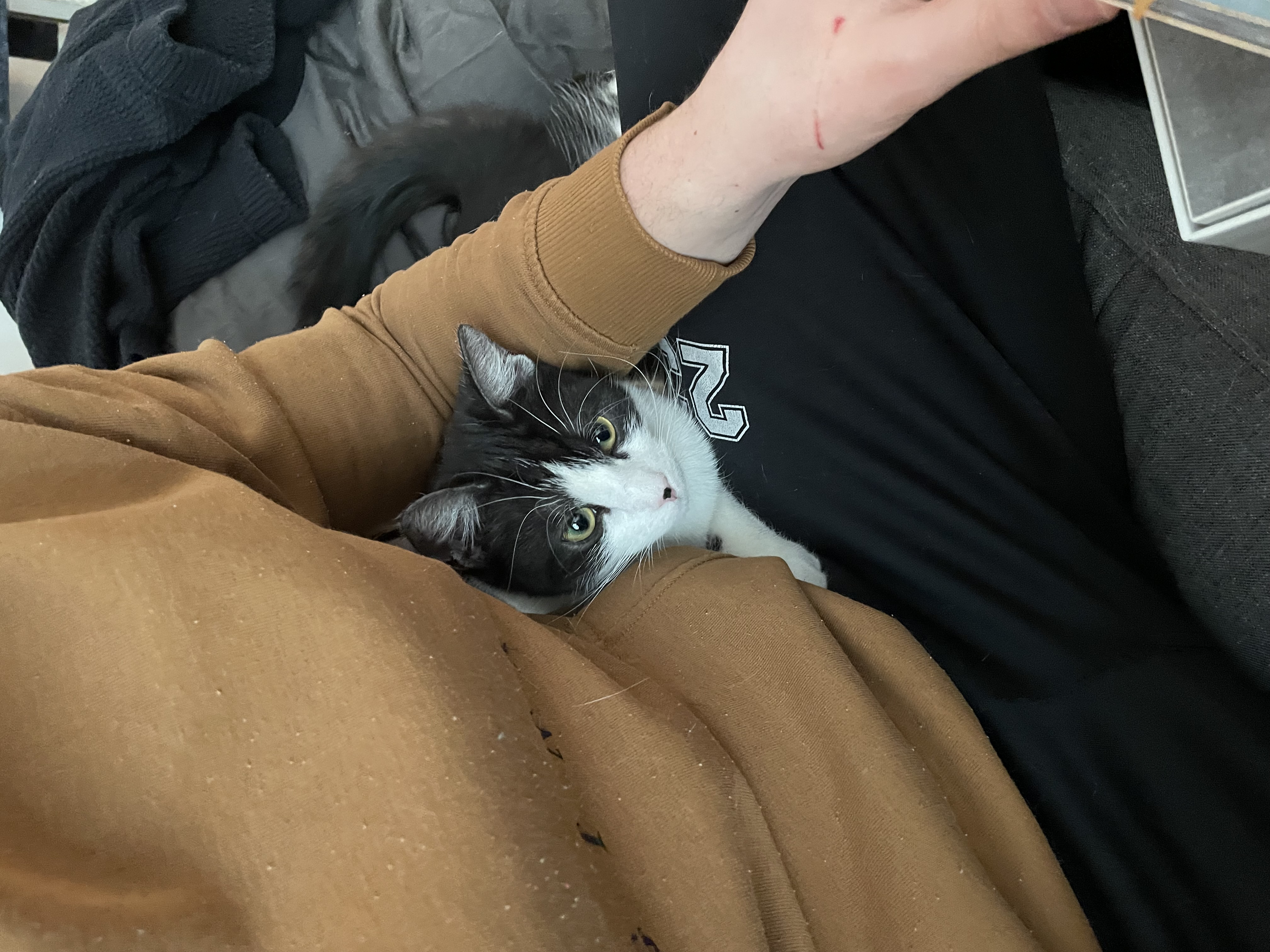 image-9