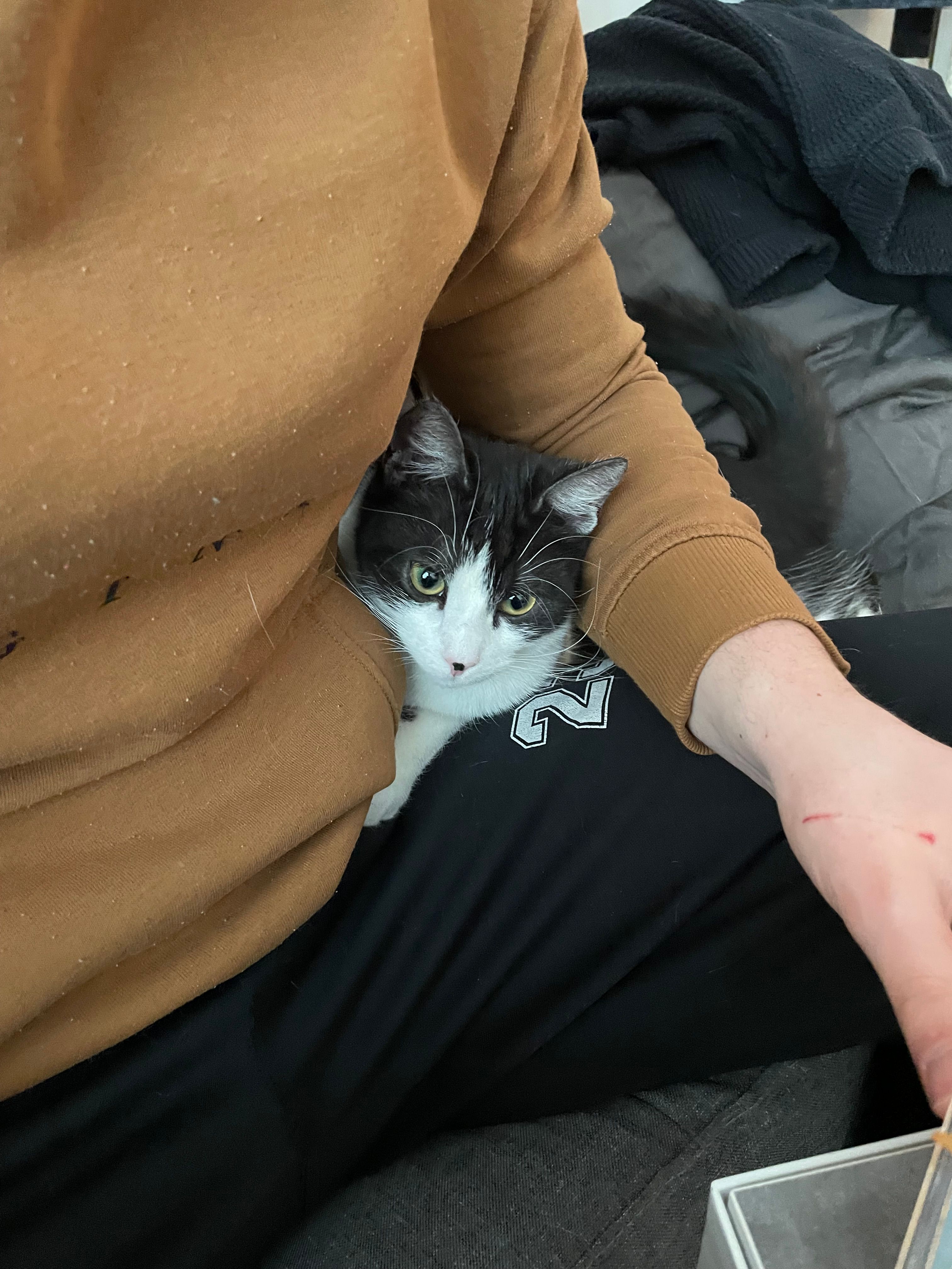 image-9