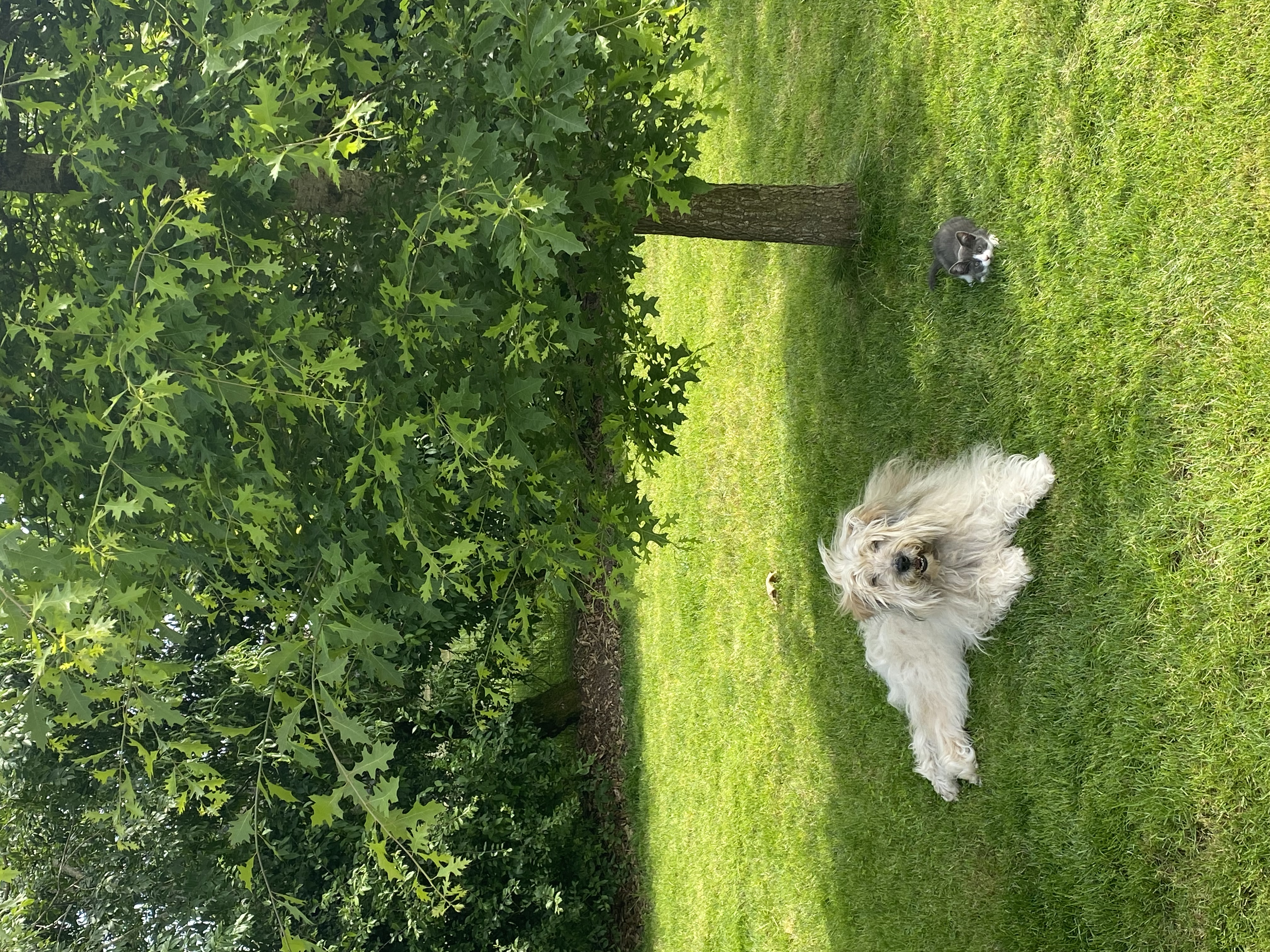 image-6