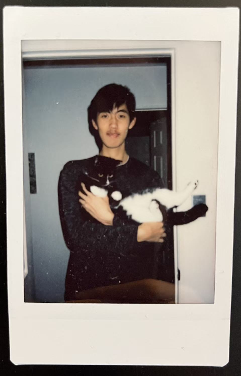 image-6