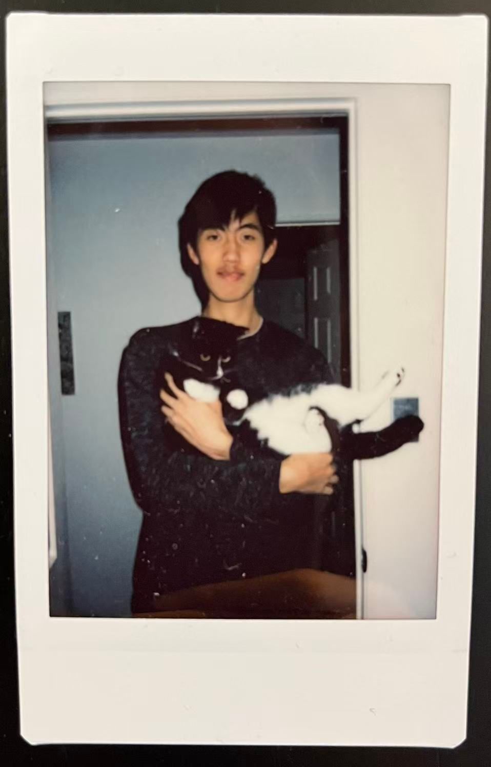 image-6