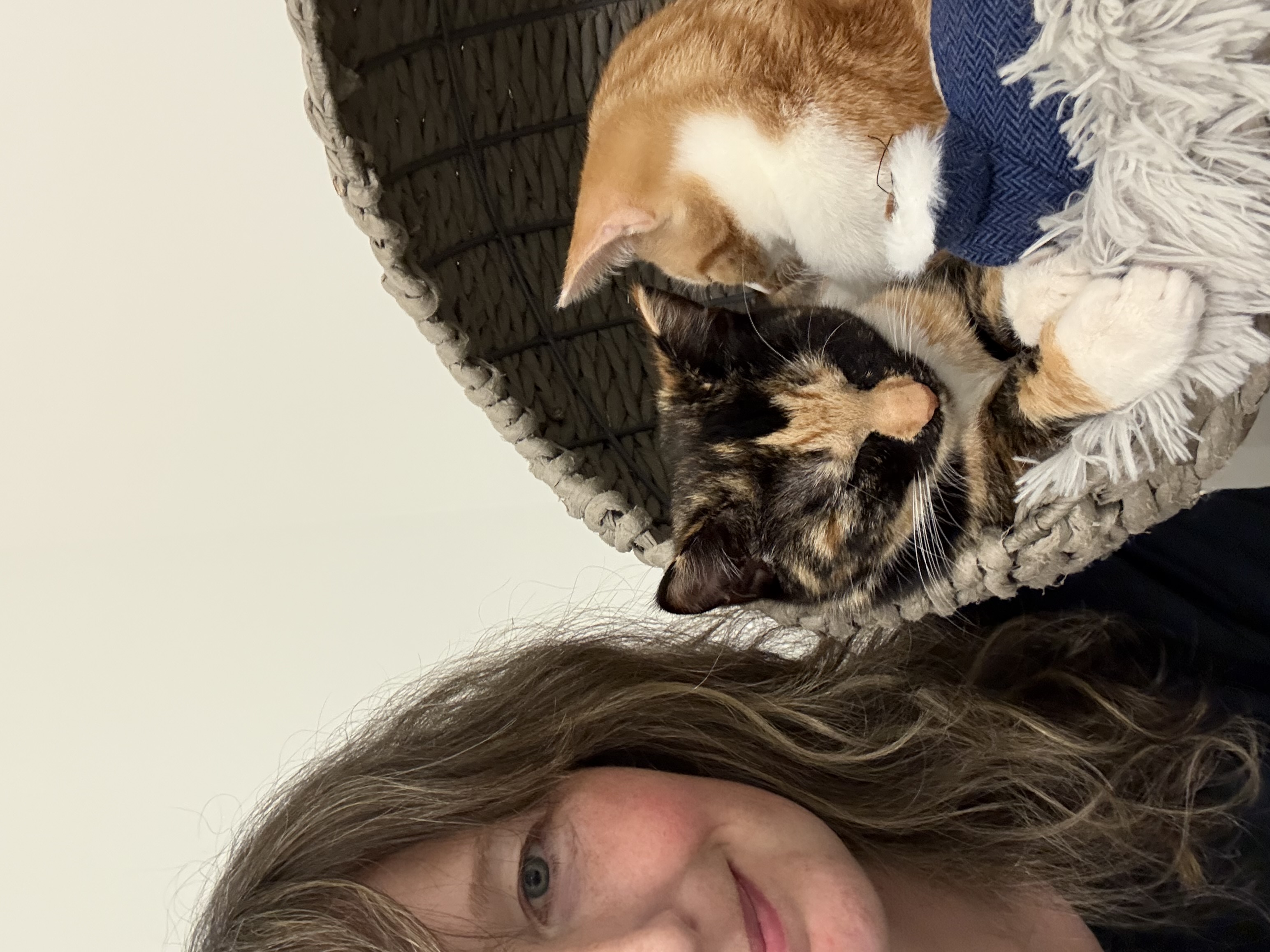 image-8