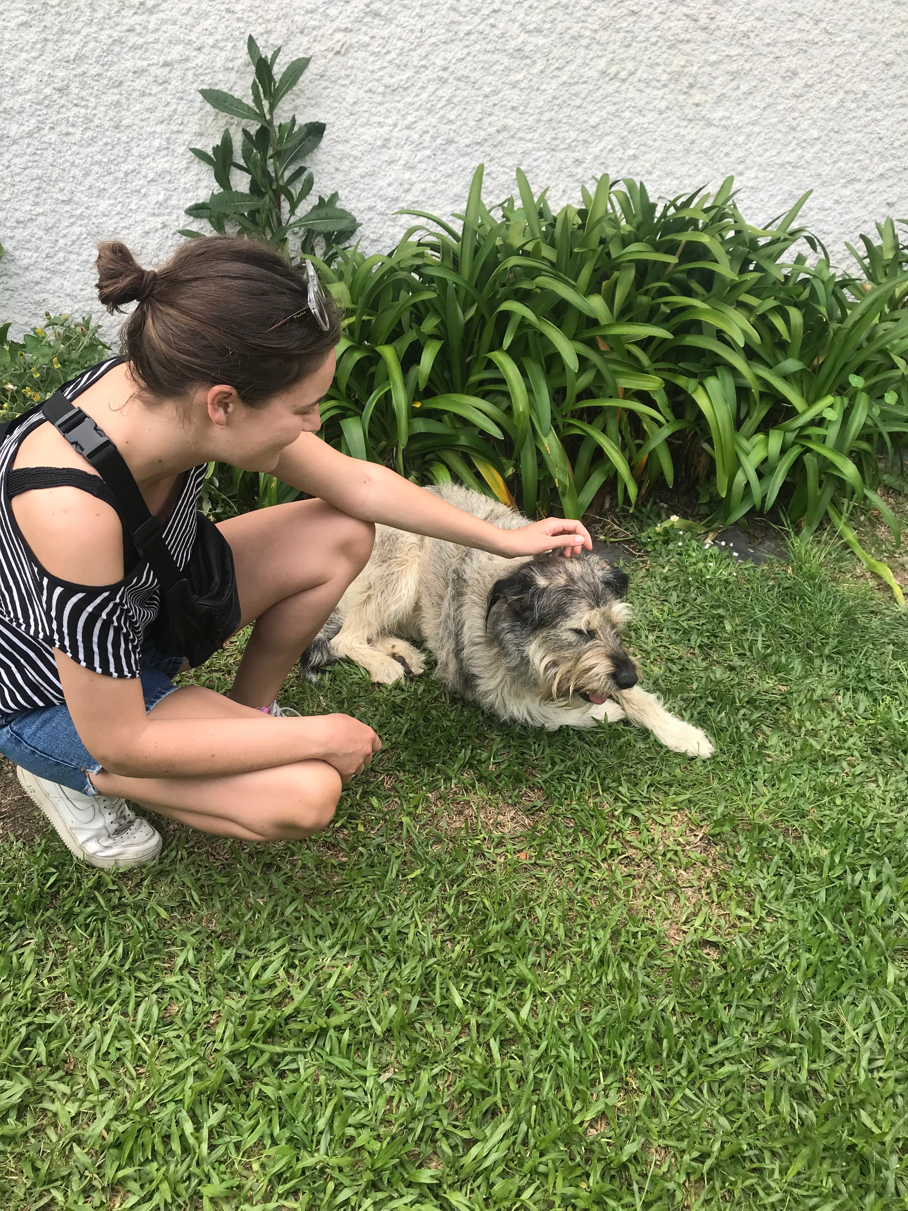 image-9
