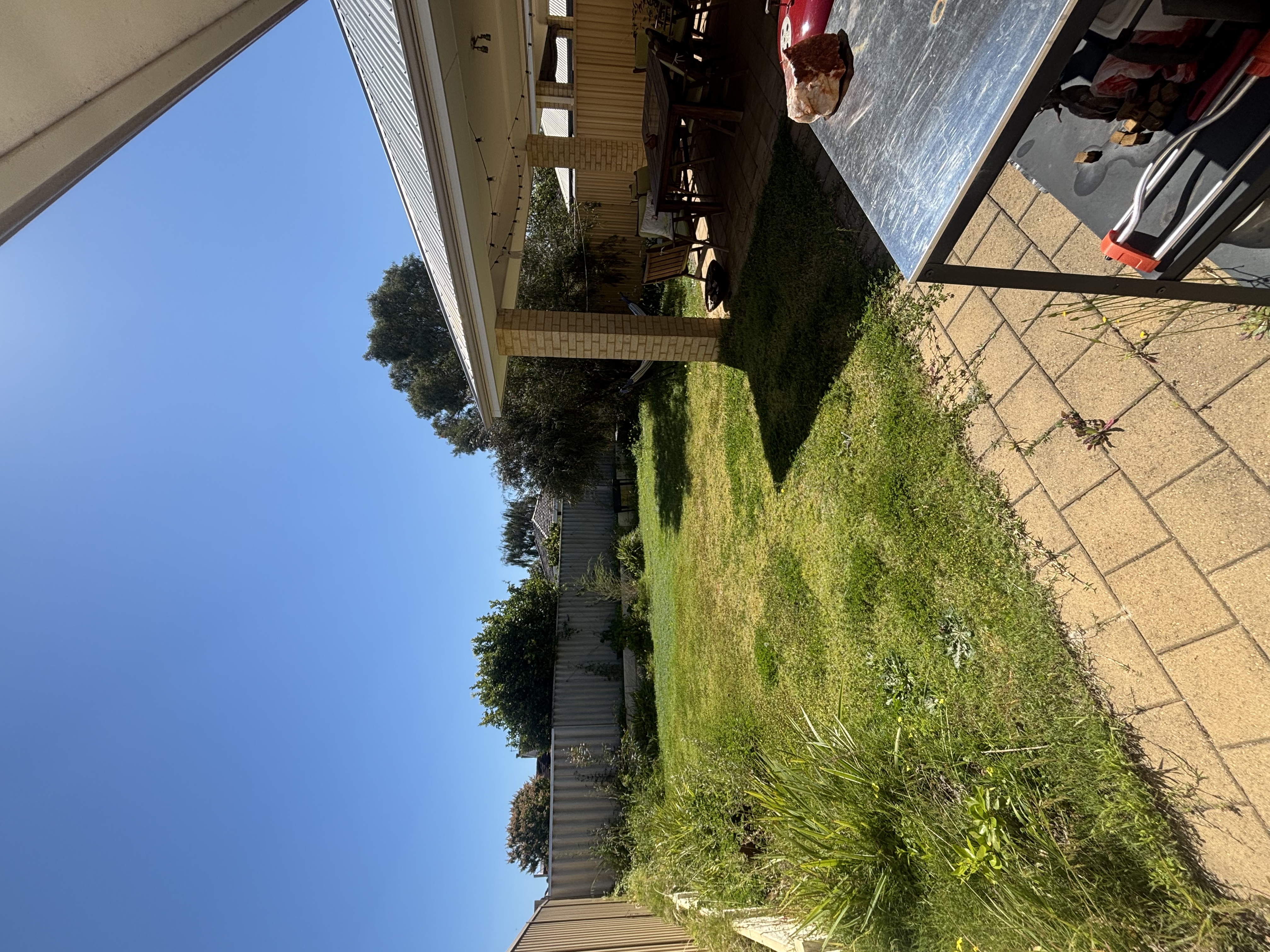 image-19