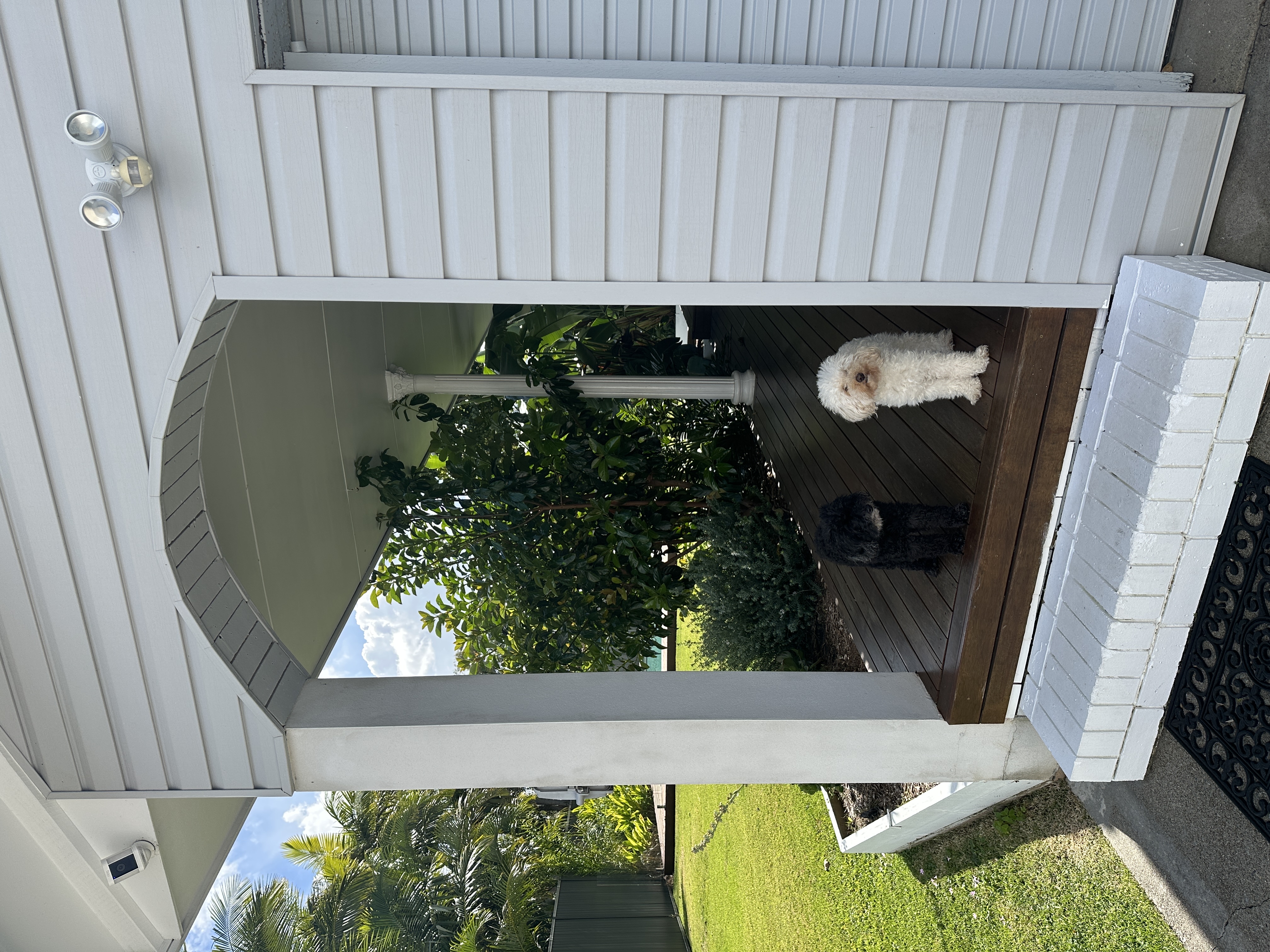 image-15