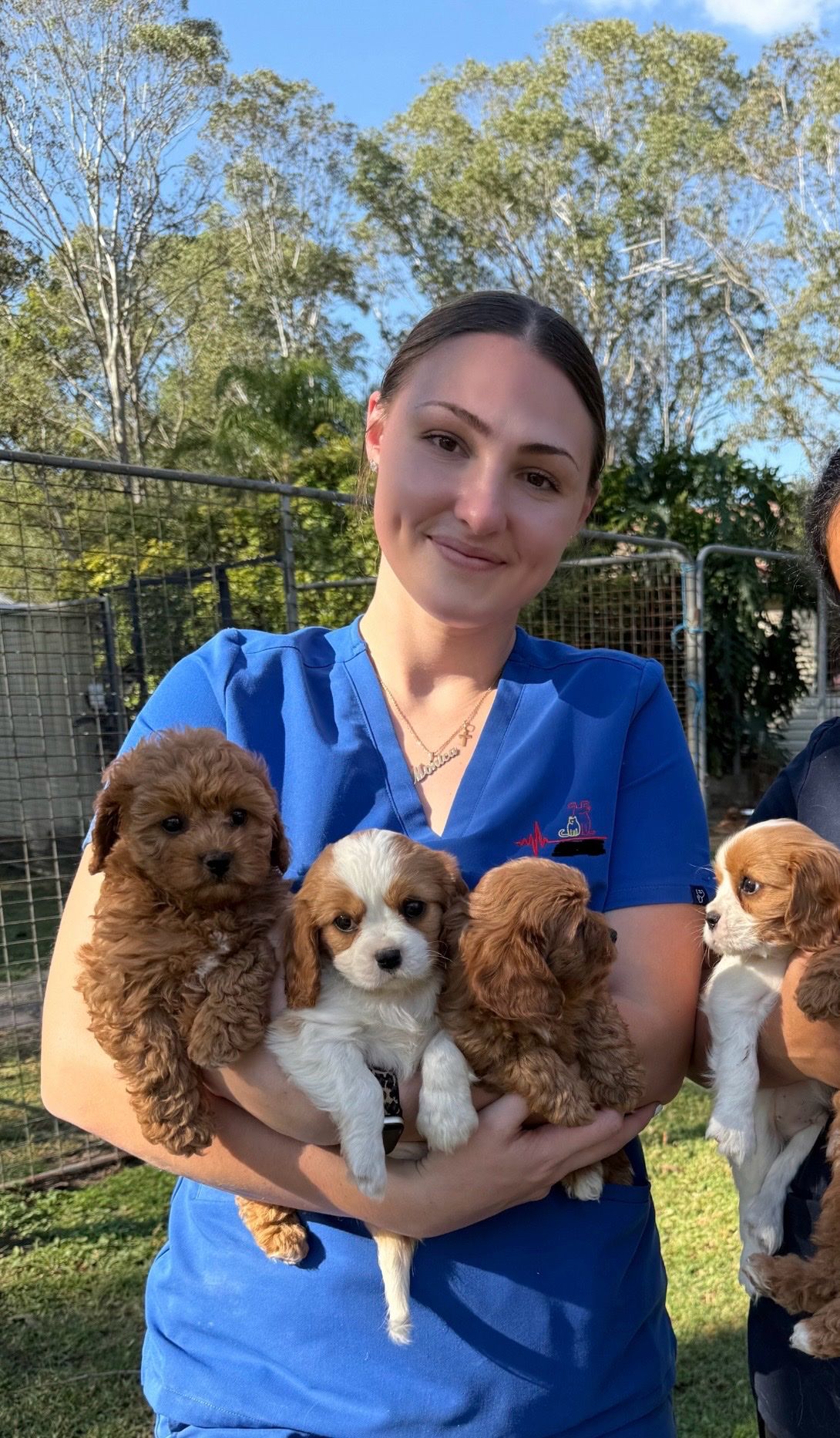 image-0