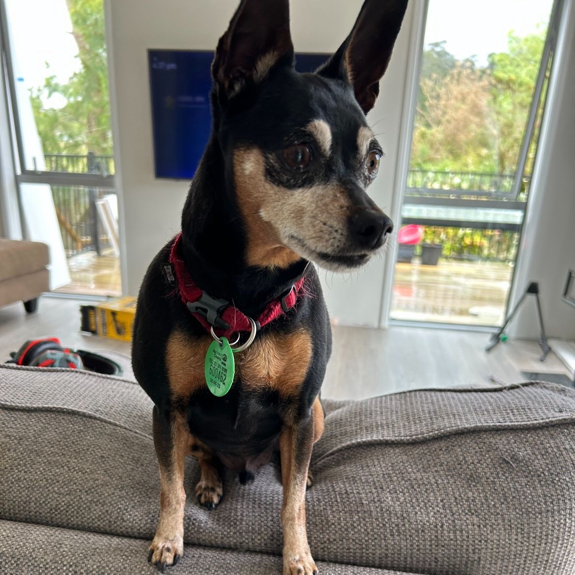 Flynn