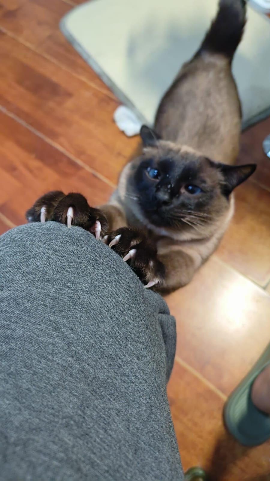 image-10