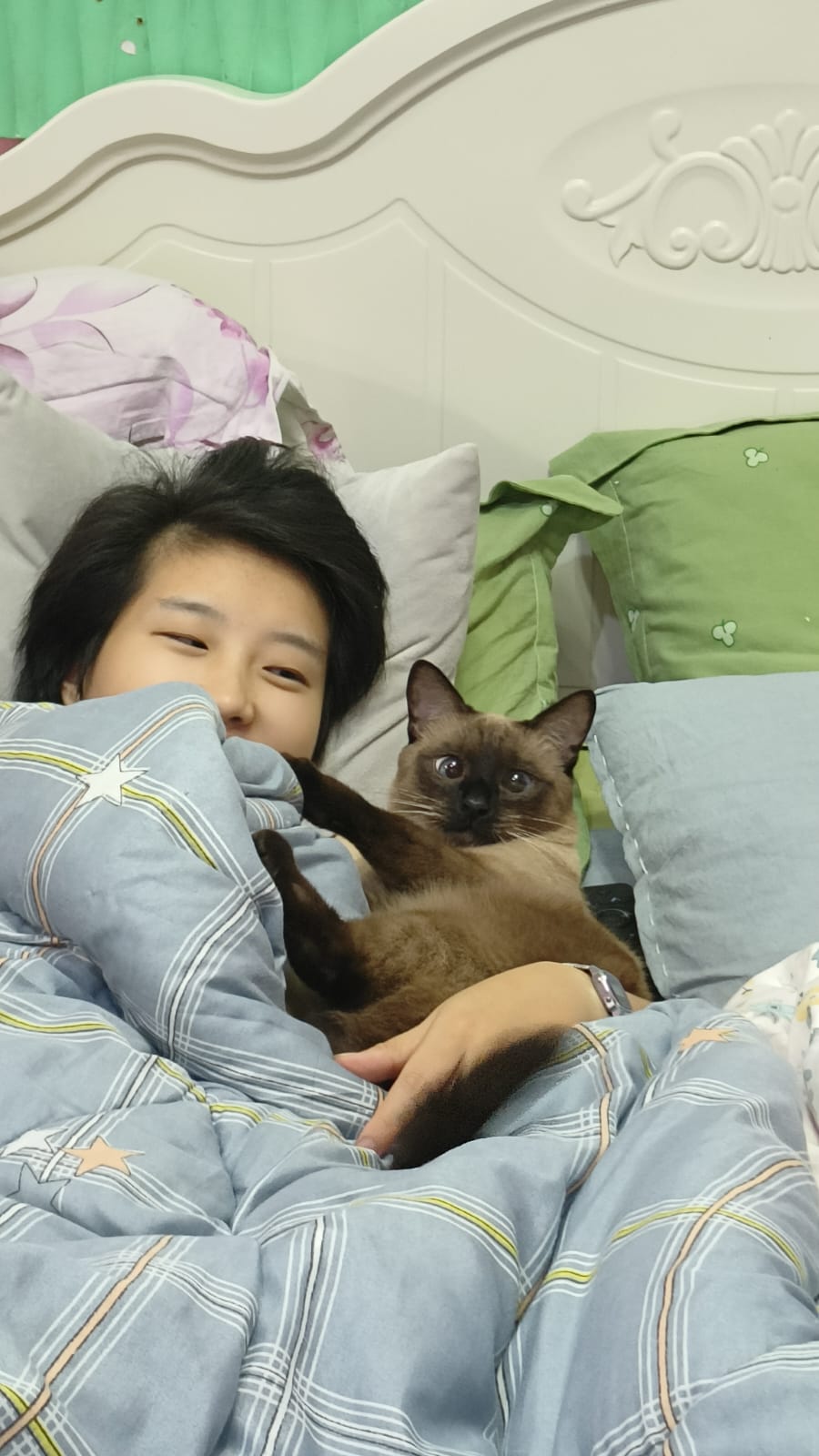 image-11