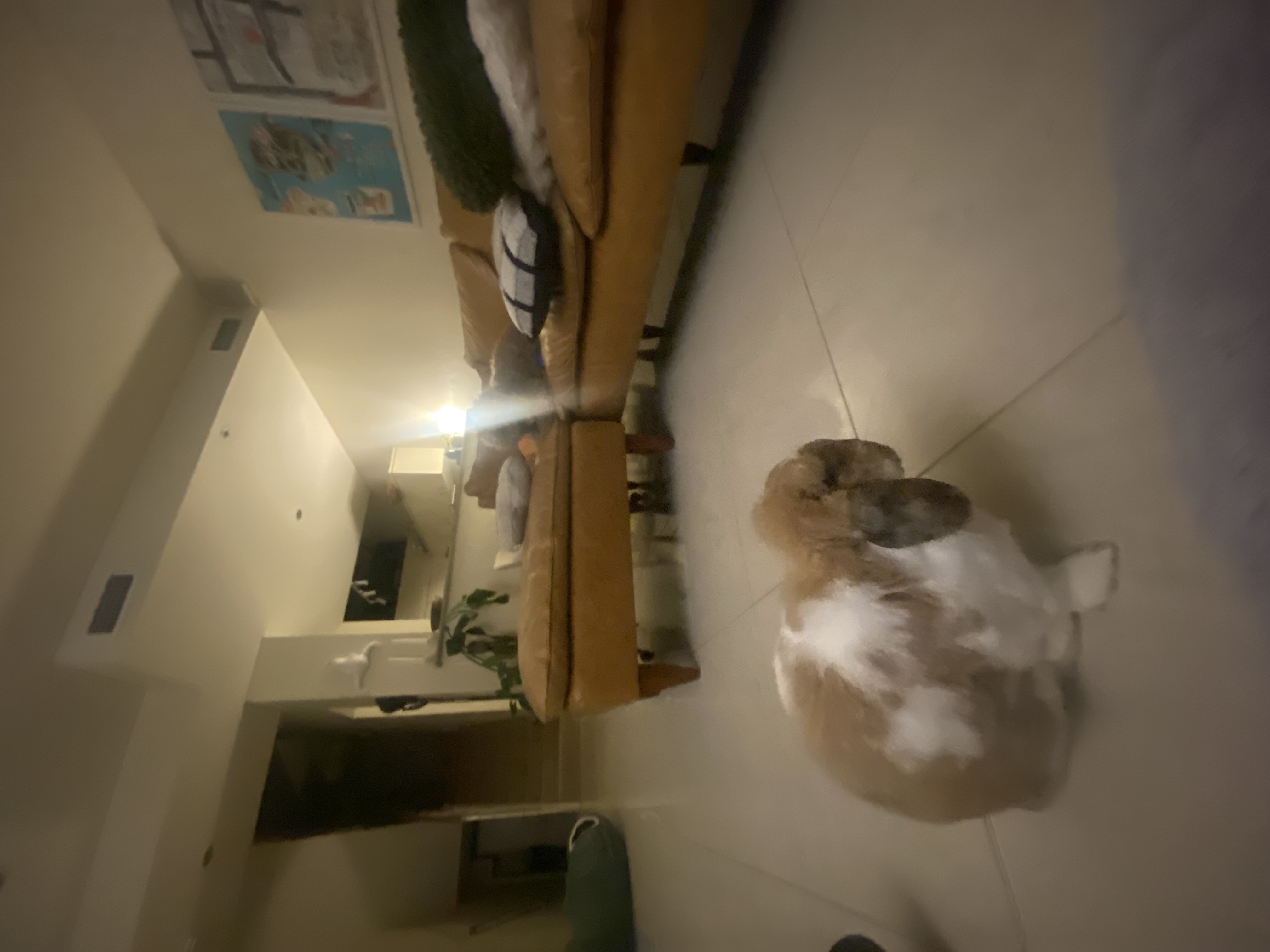 image-44