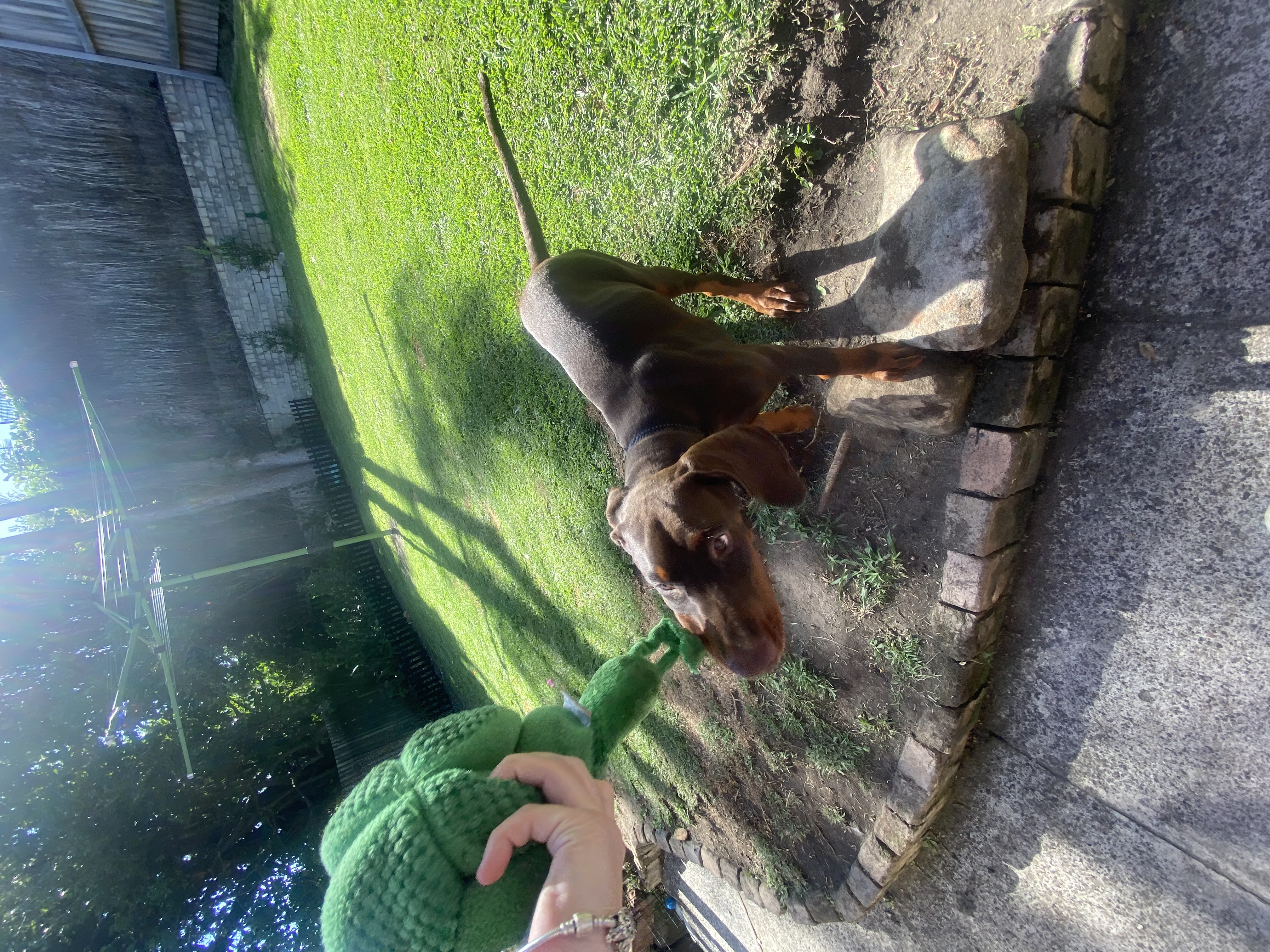 image-16