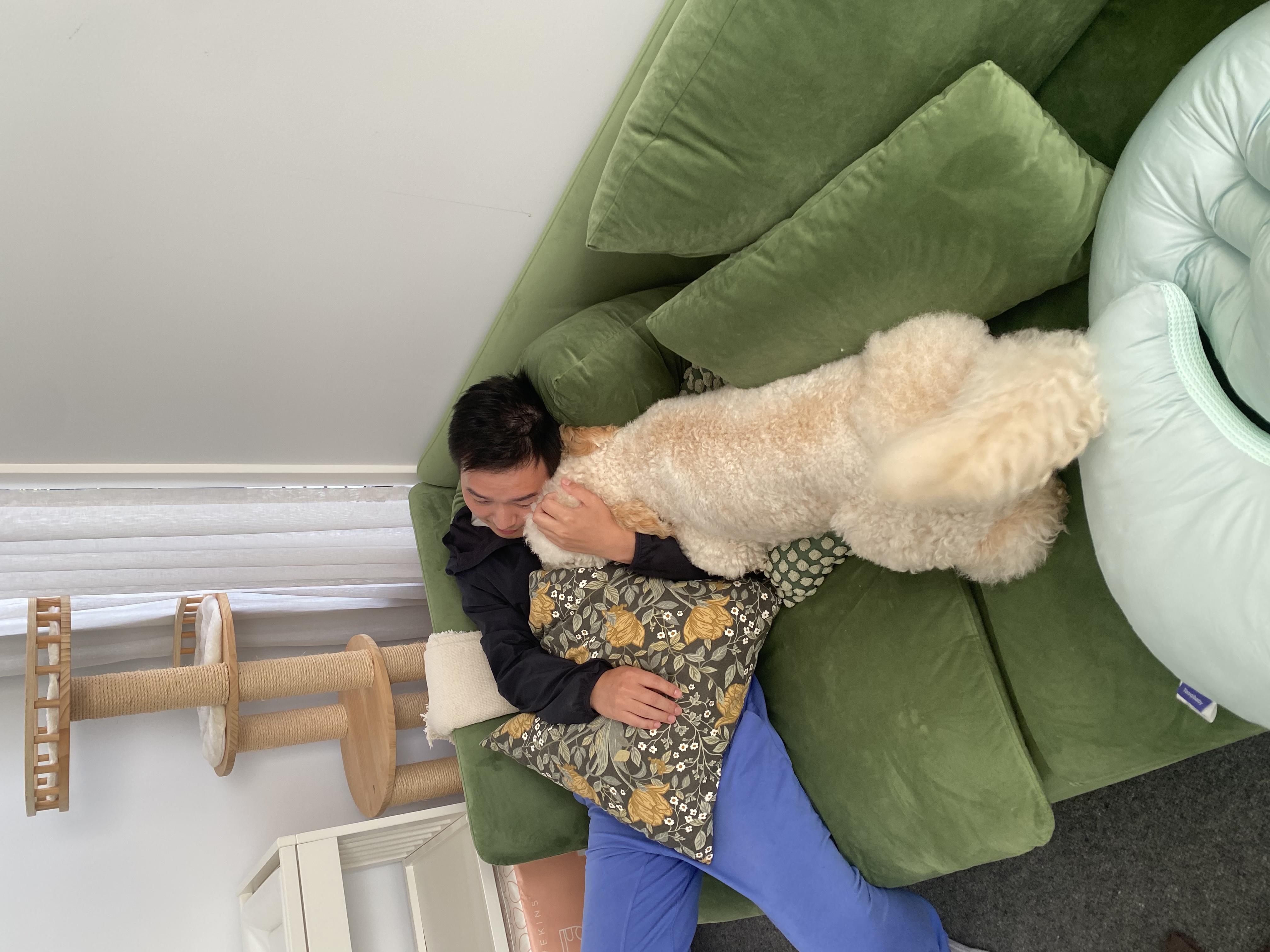 image-8