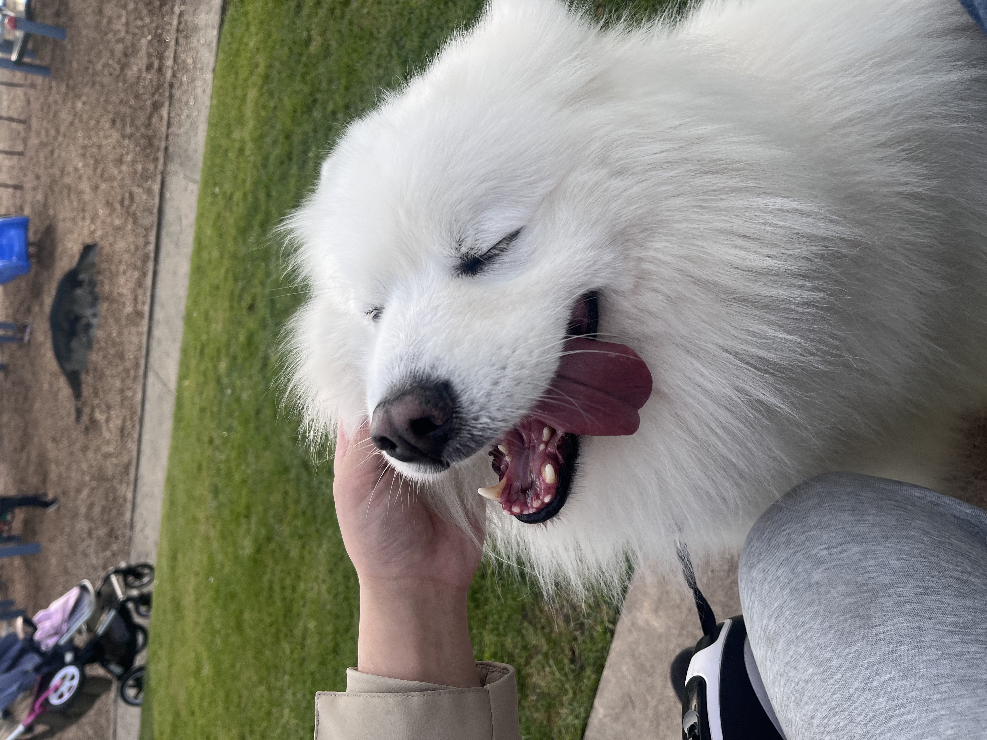 image-9