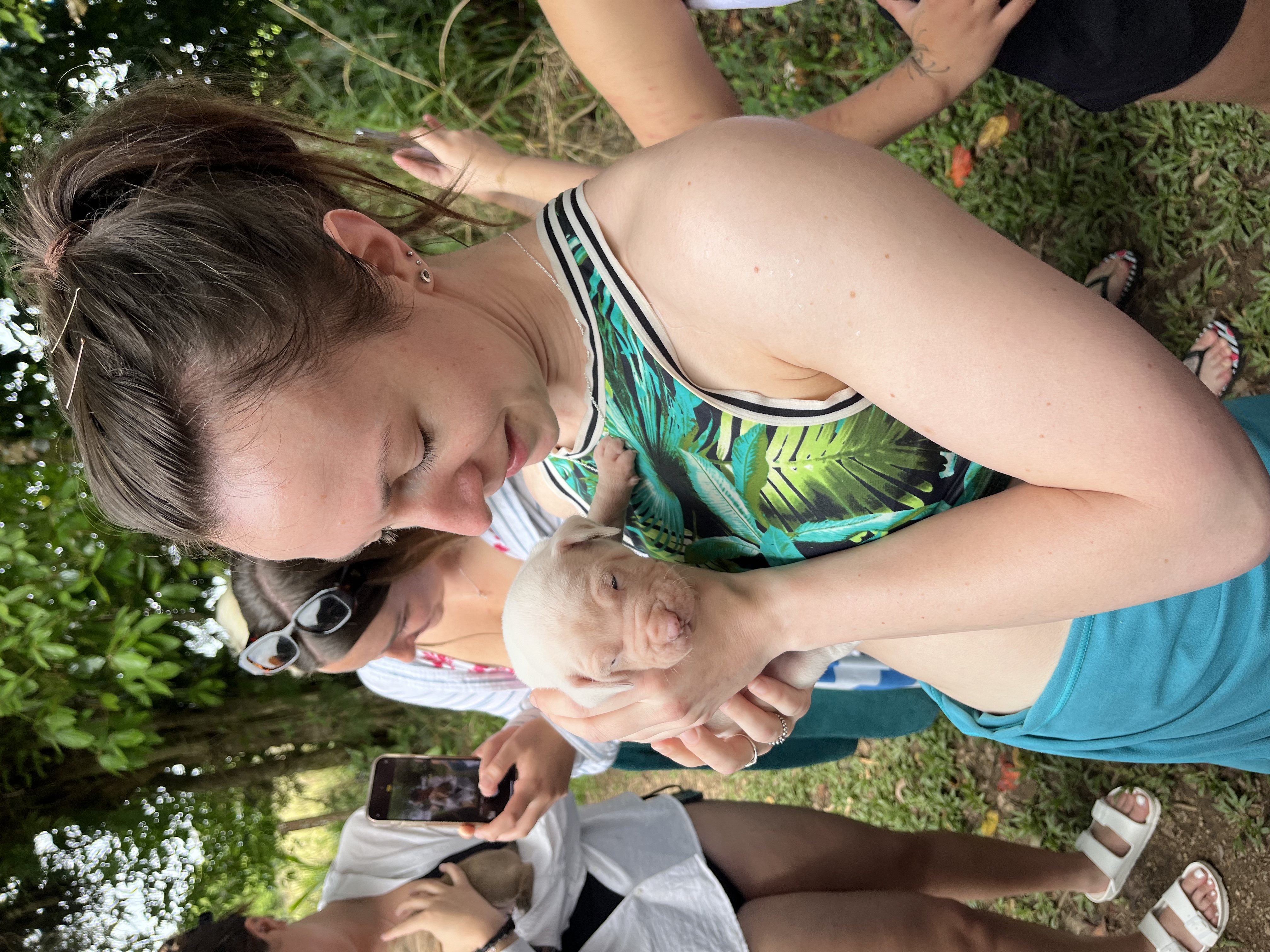 image-8