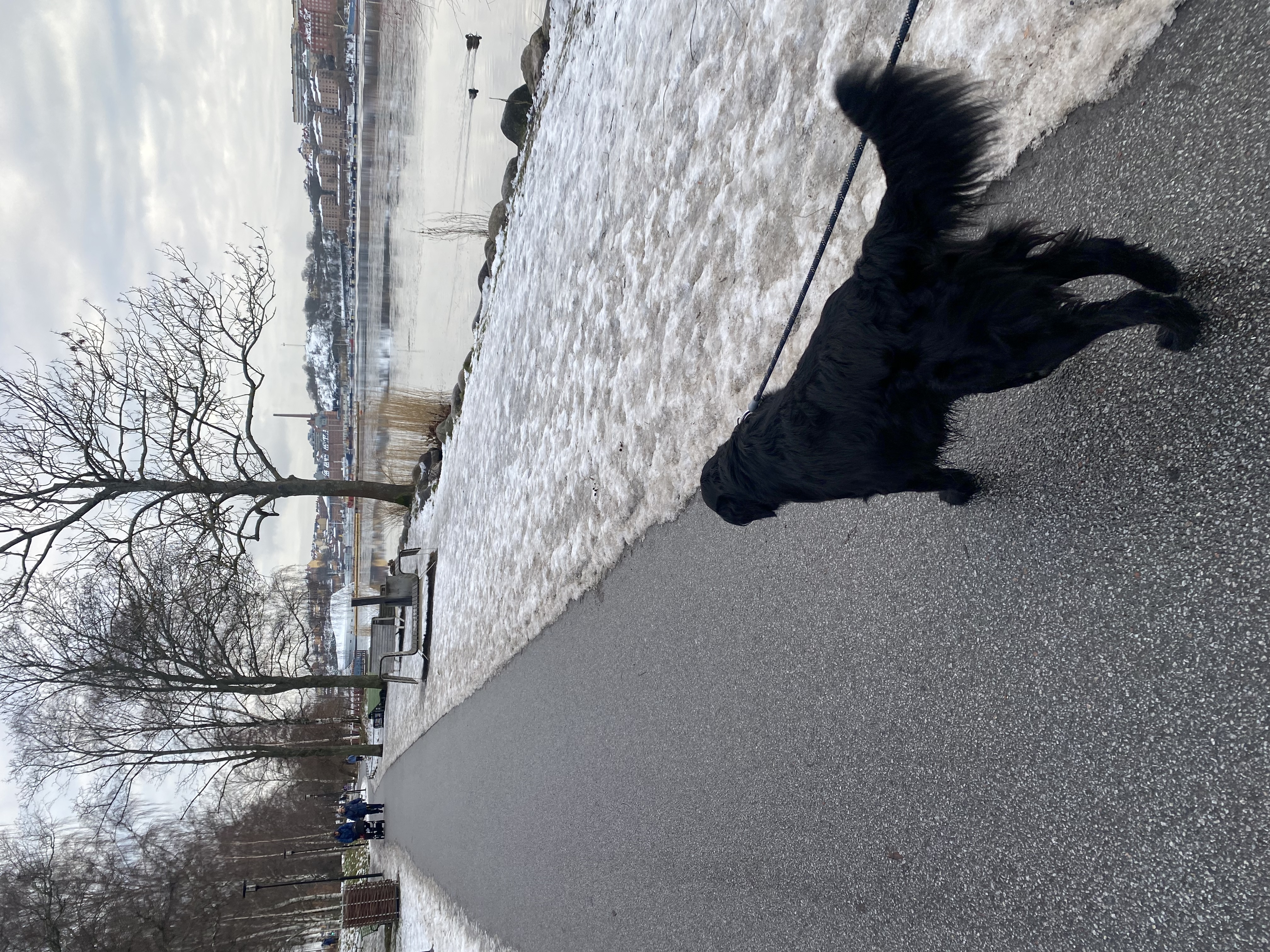 image-10