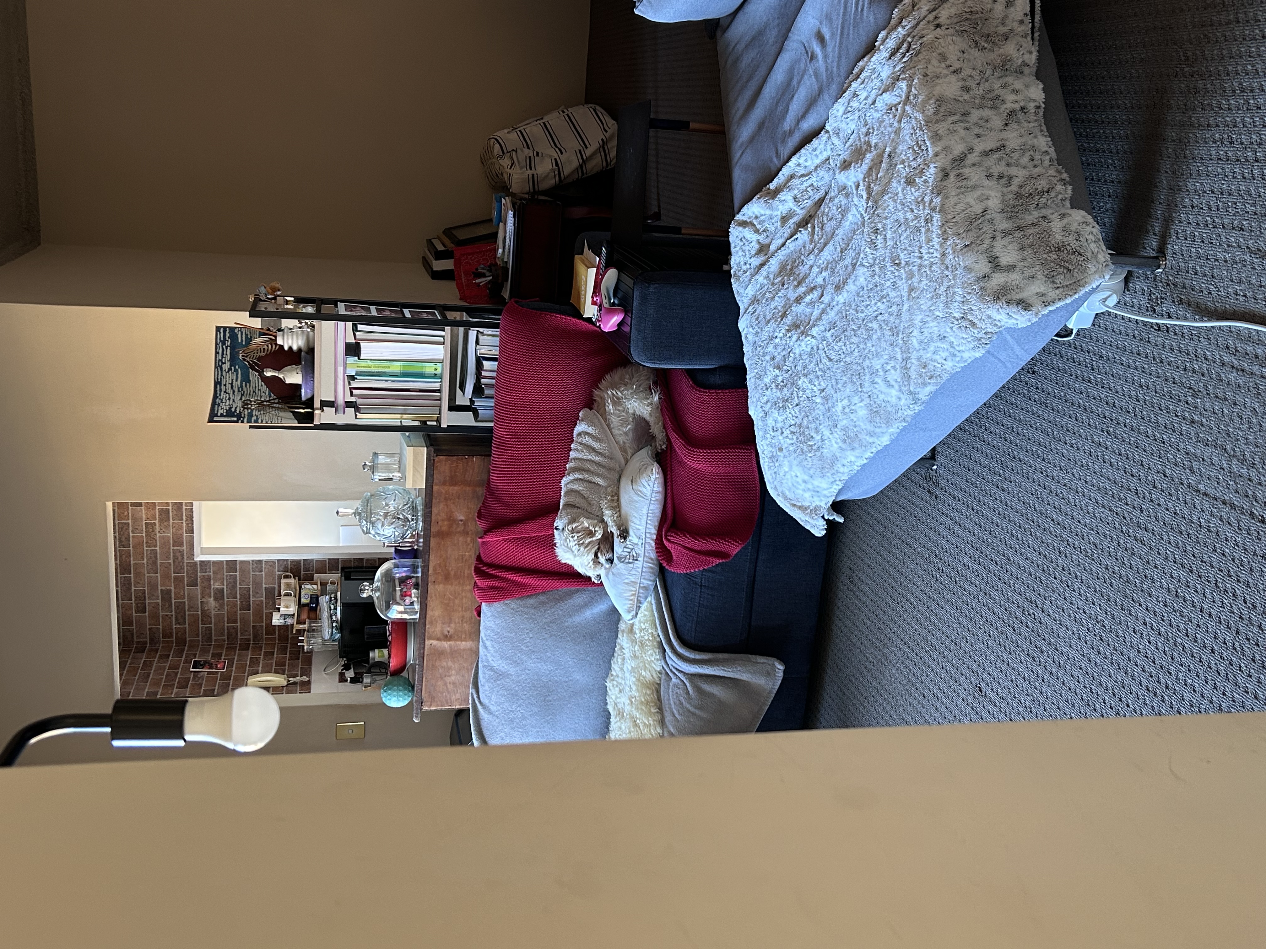 image-16