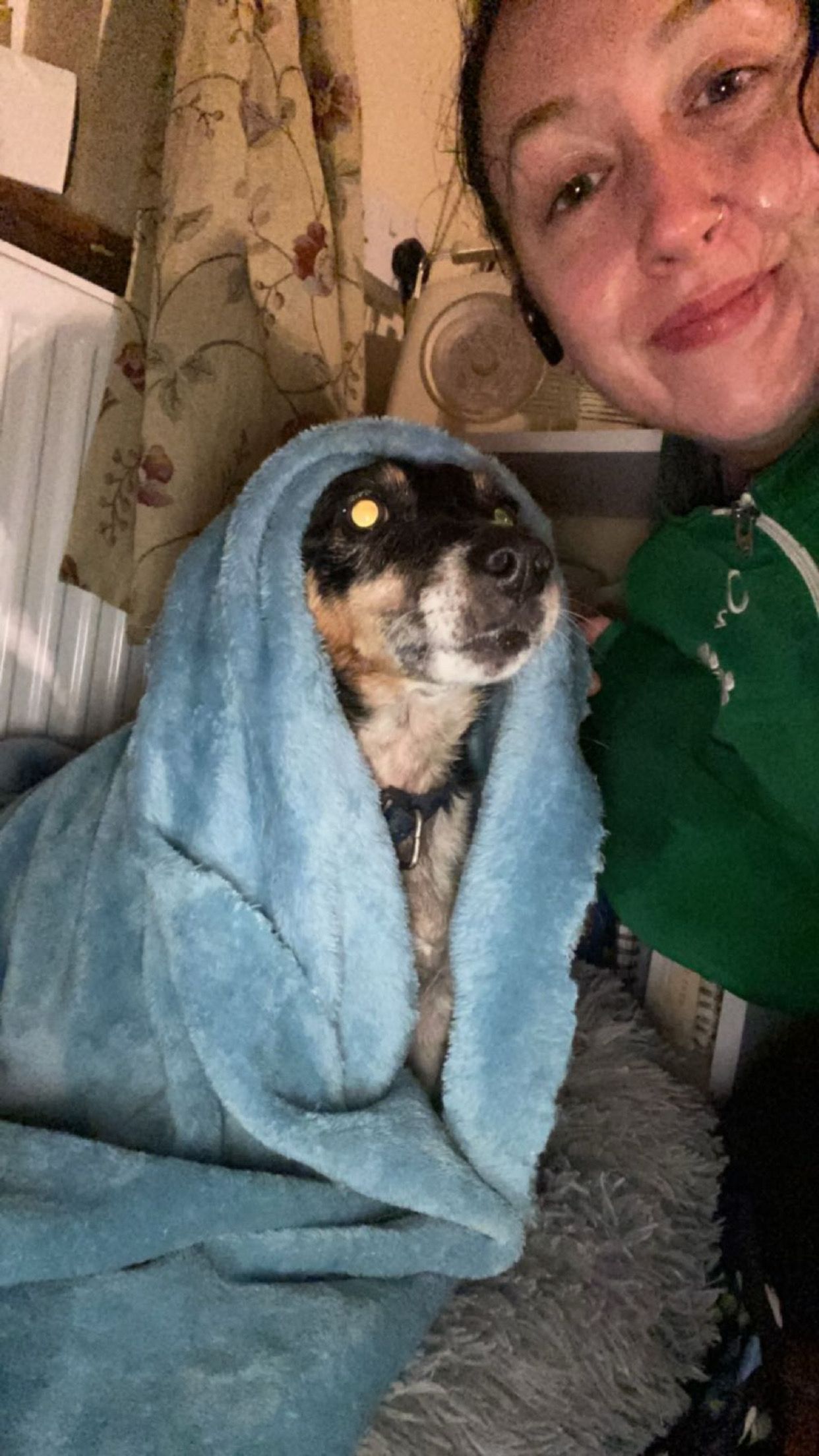 image-8