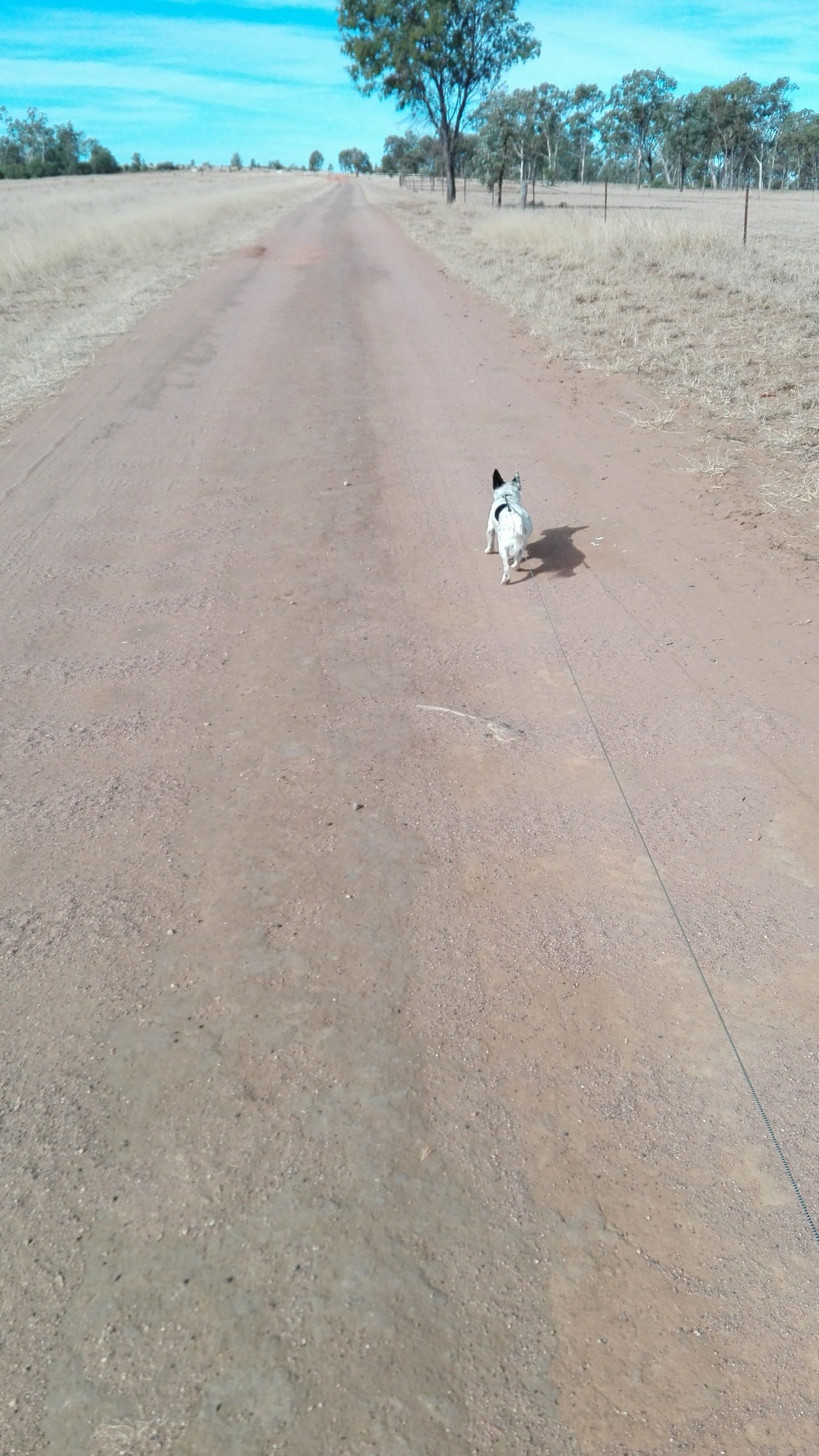 image-8