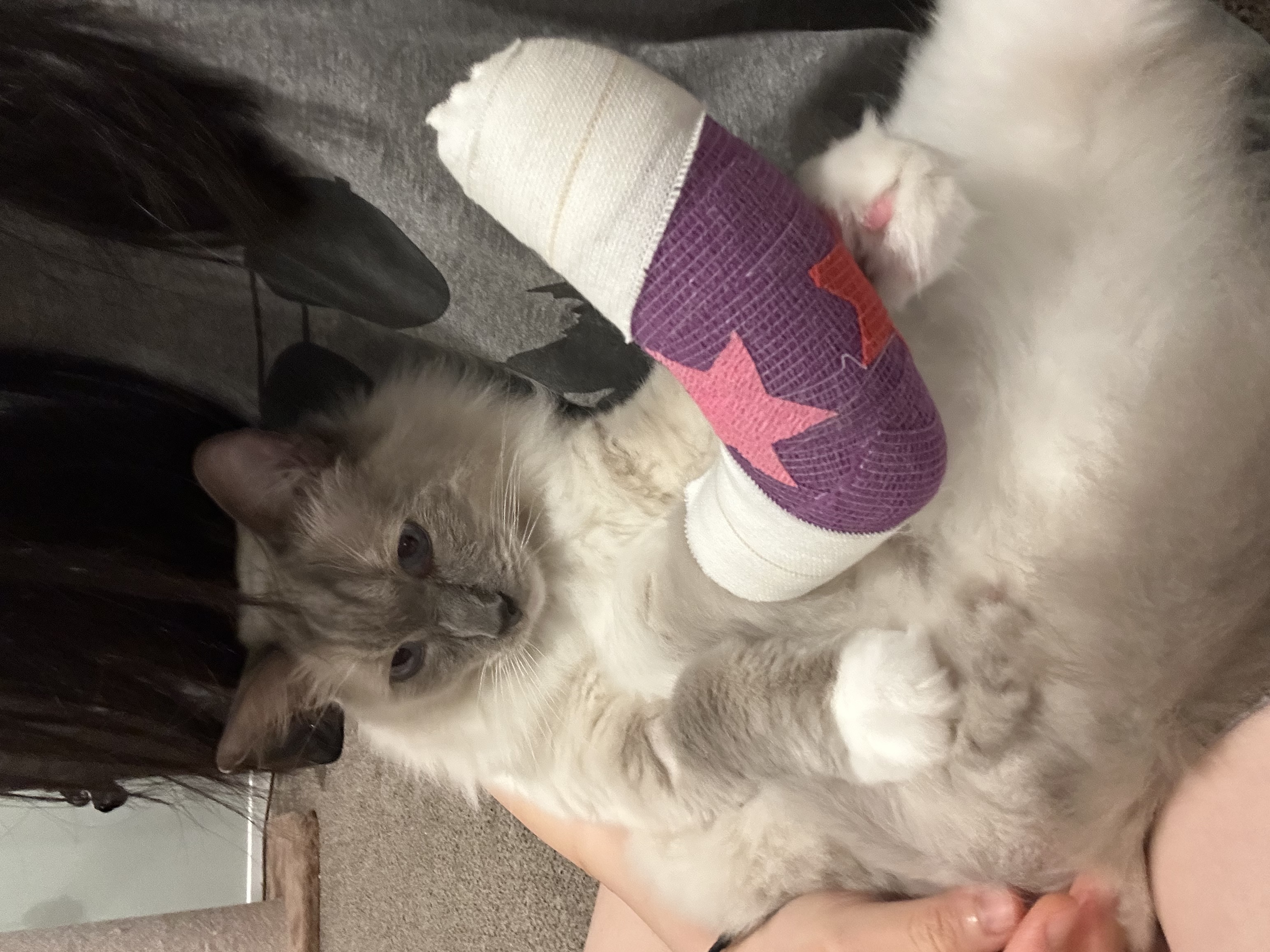 image-6