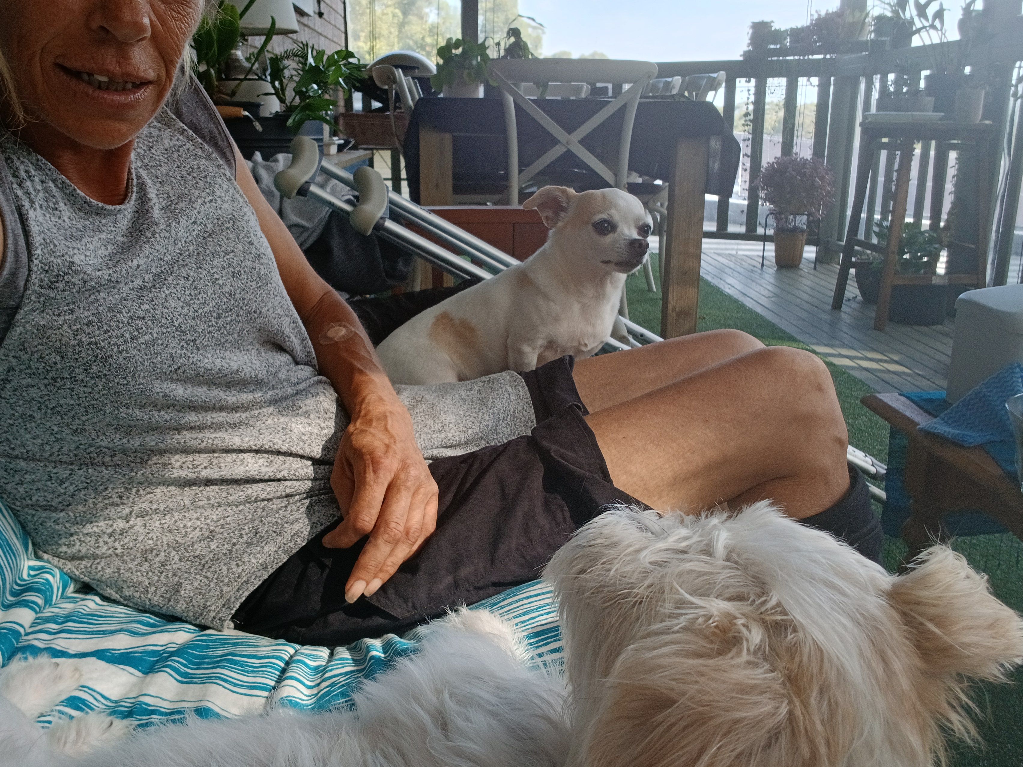 image-16