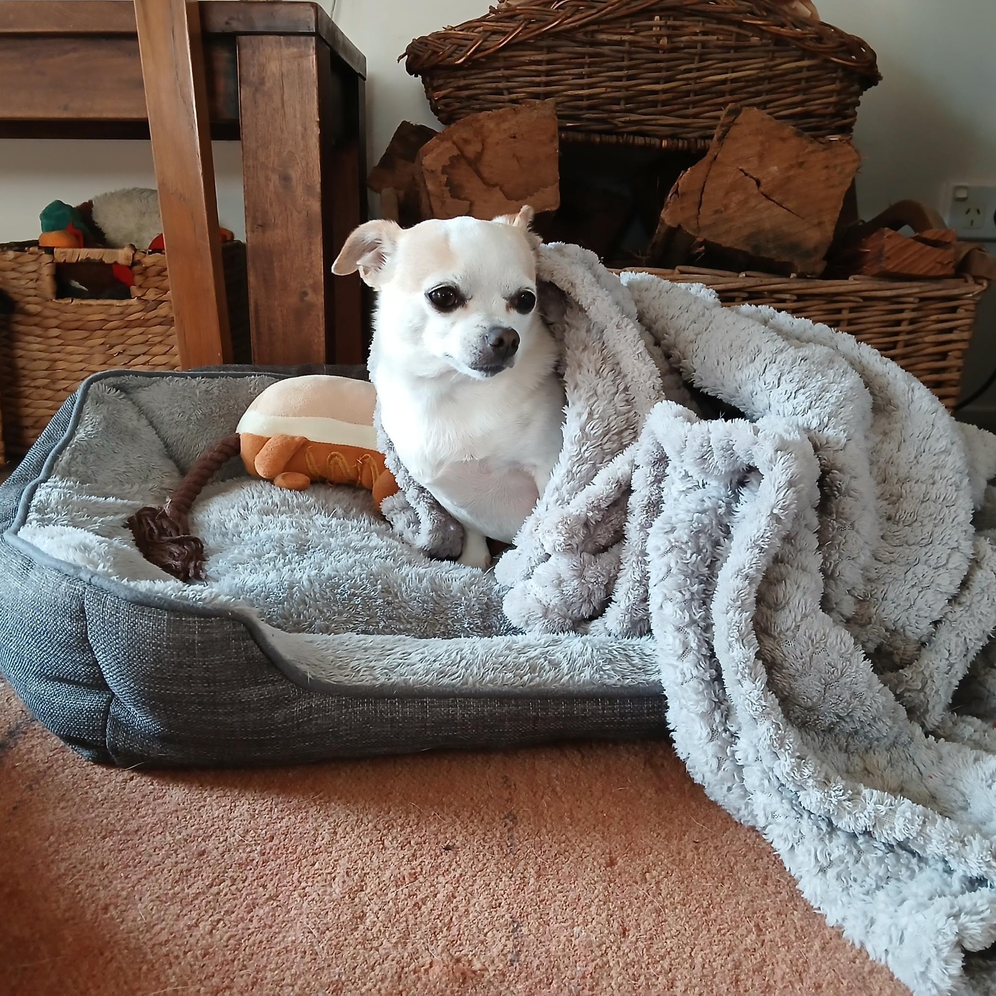 image-7