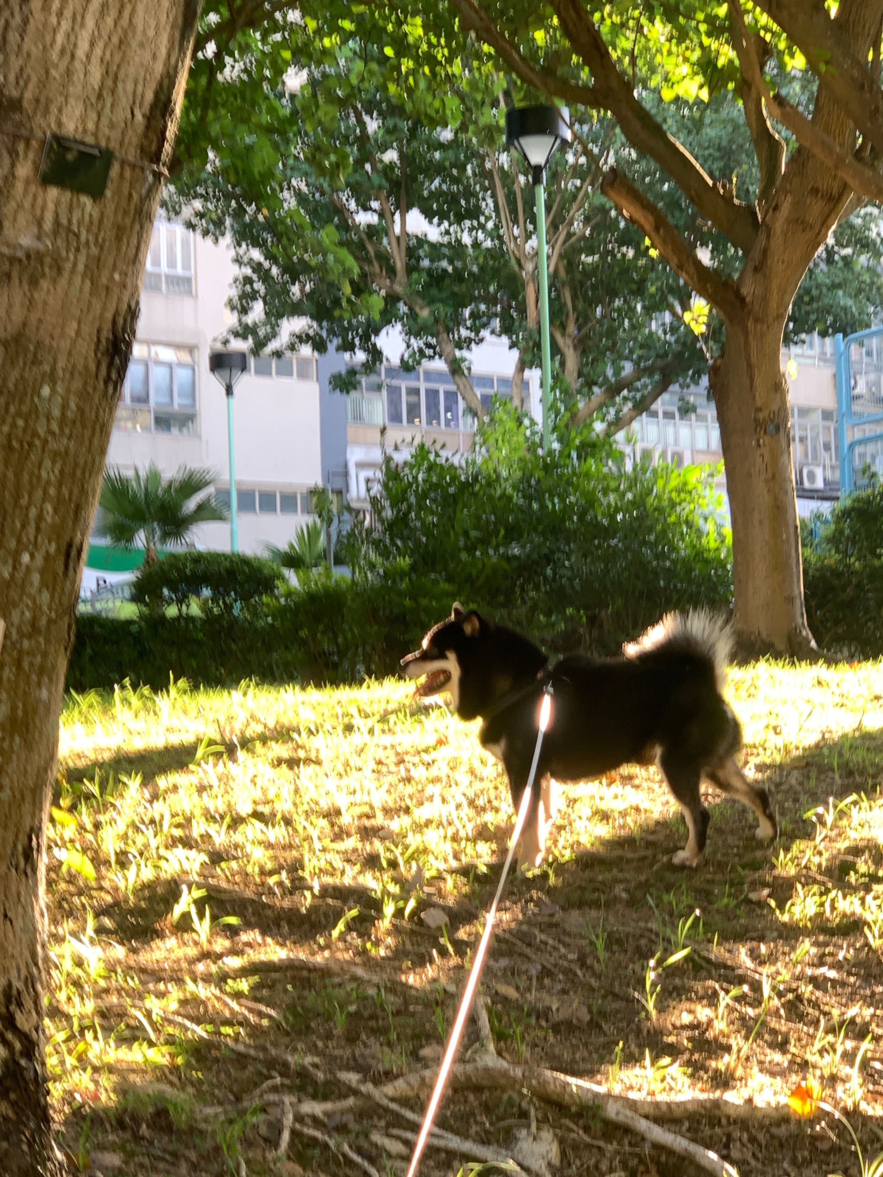 image-8