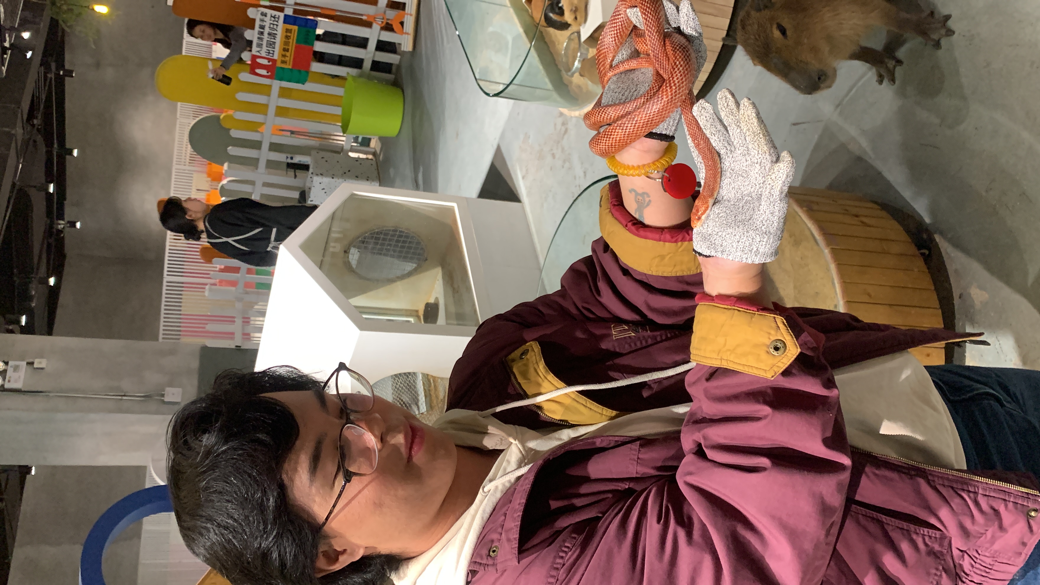 image-10
