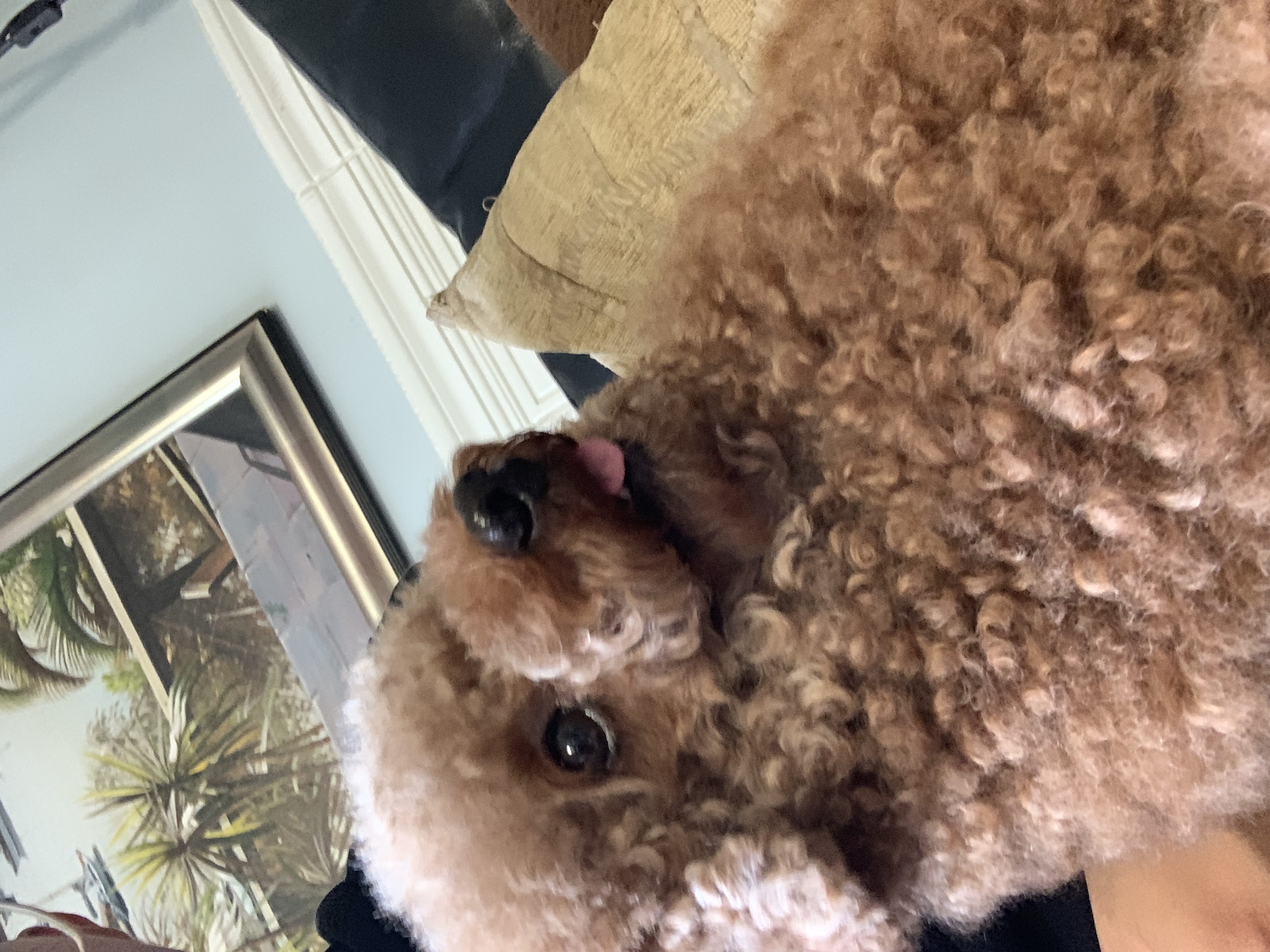image-6