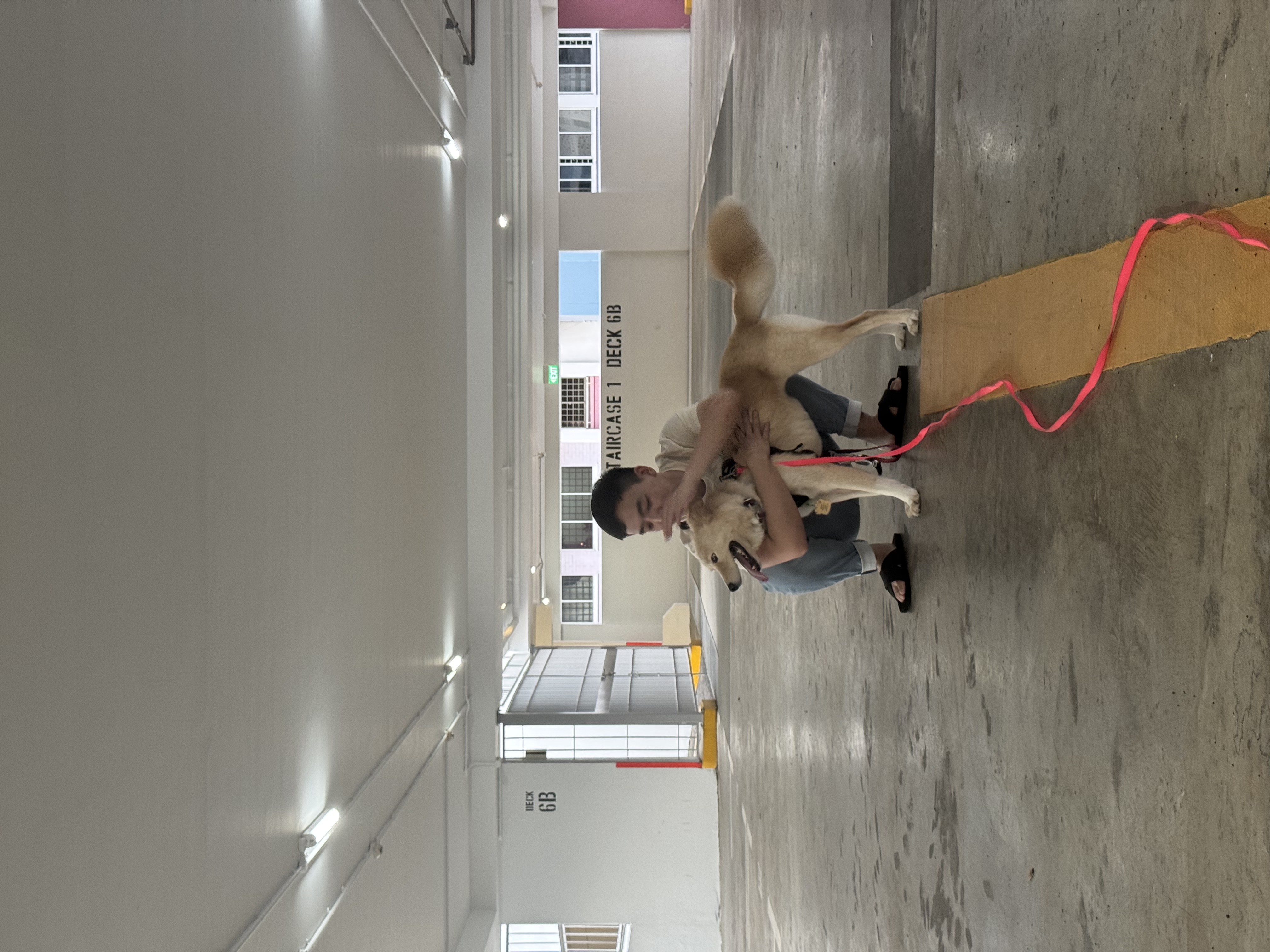 image-3