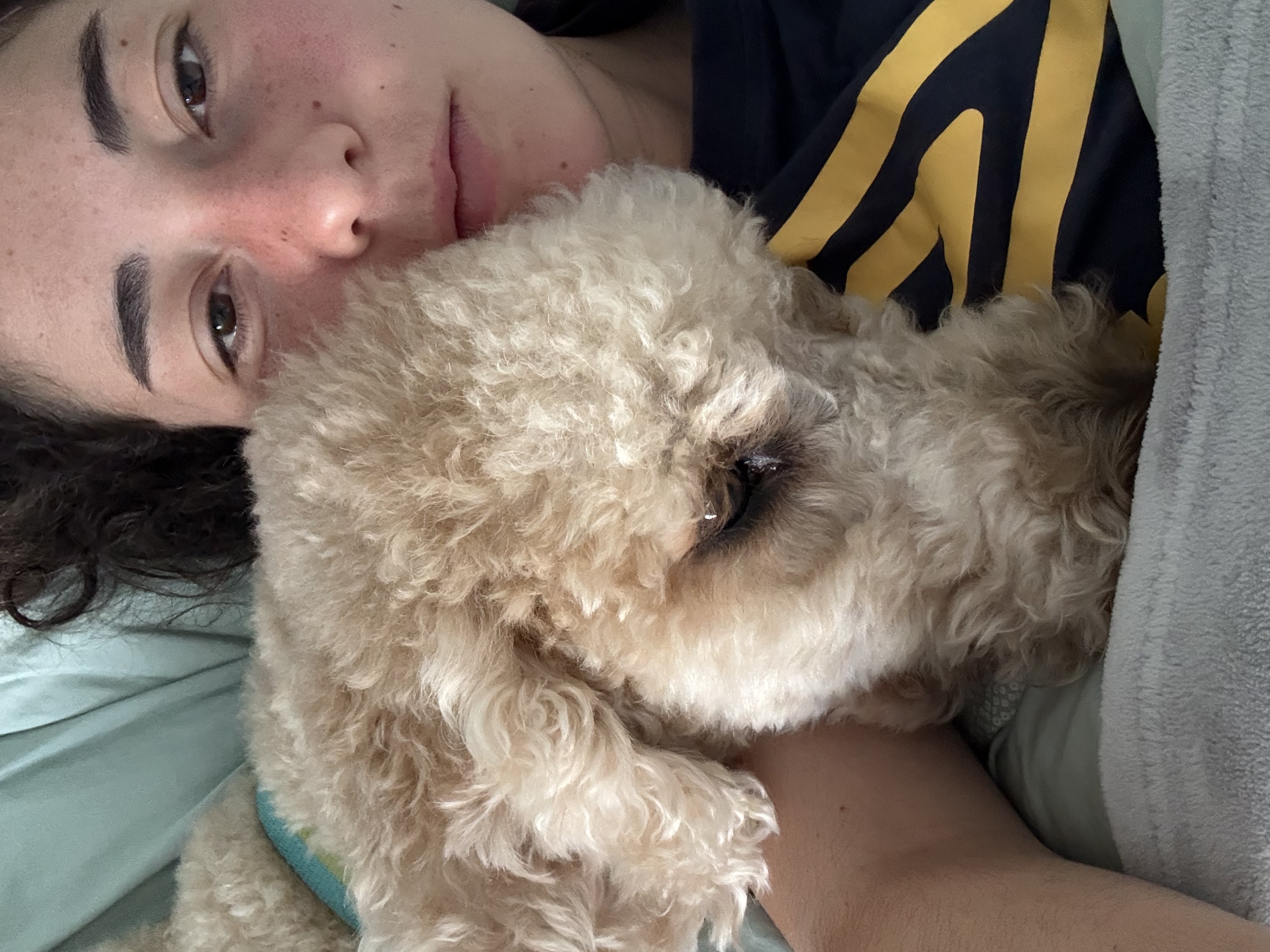 image-6